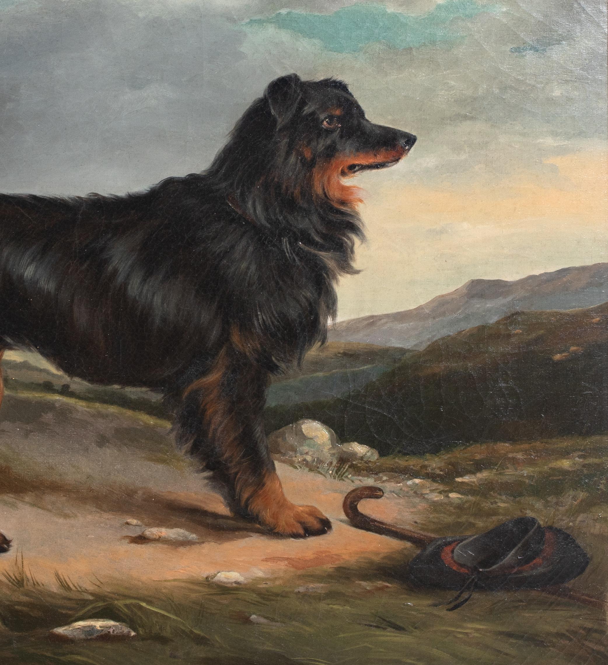 Black & Tan Border Collie In The Highlands, 19th Century  1