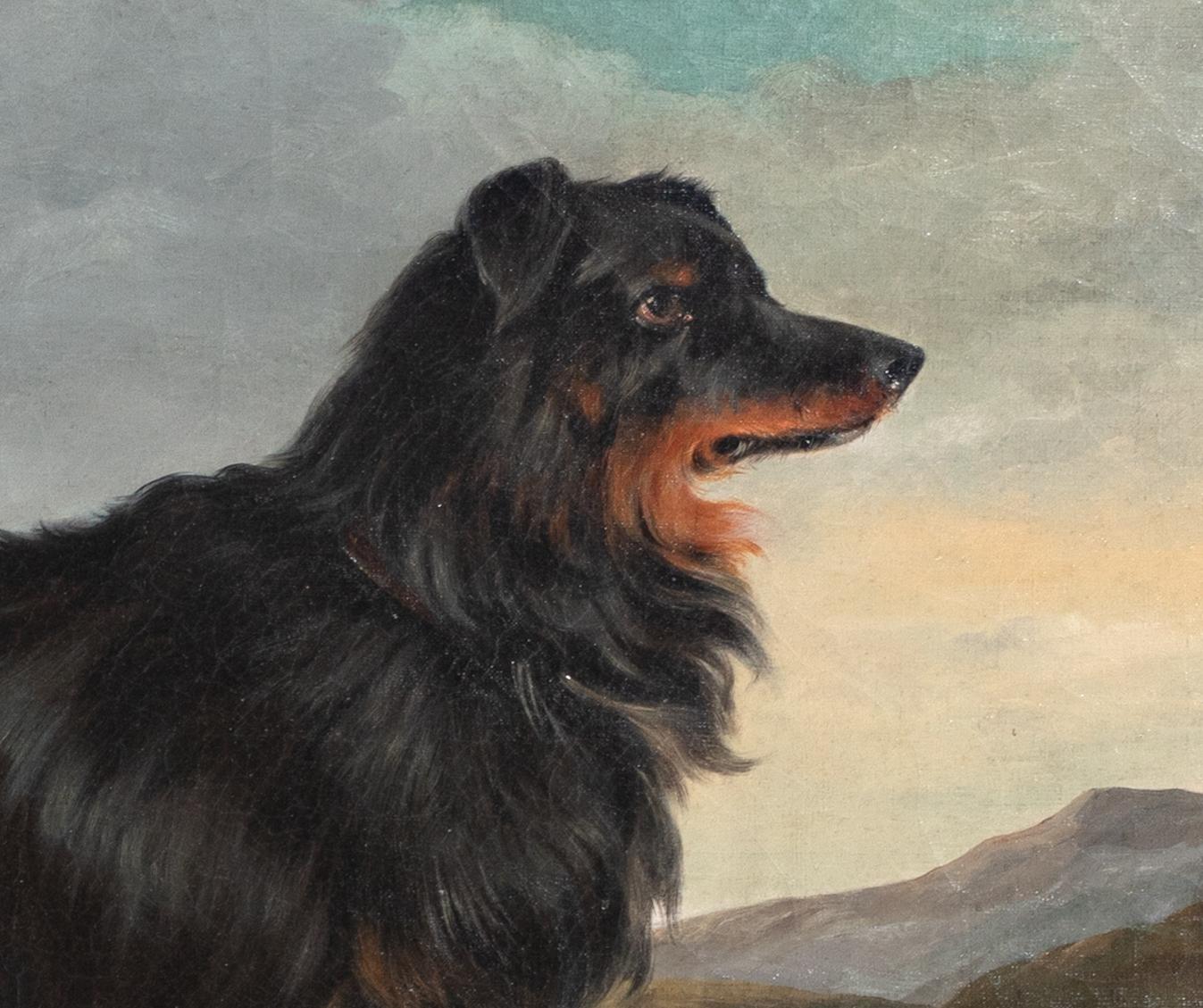Black & Tan Border Collie In The Highlands, 19th Century  2