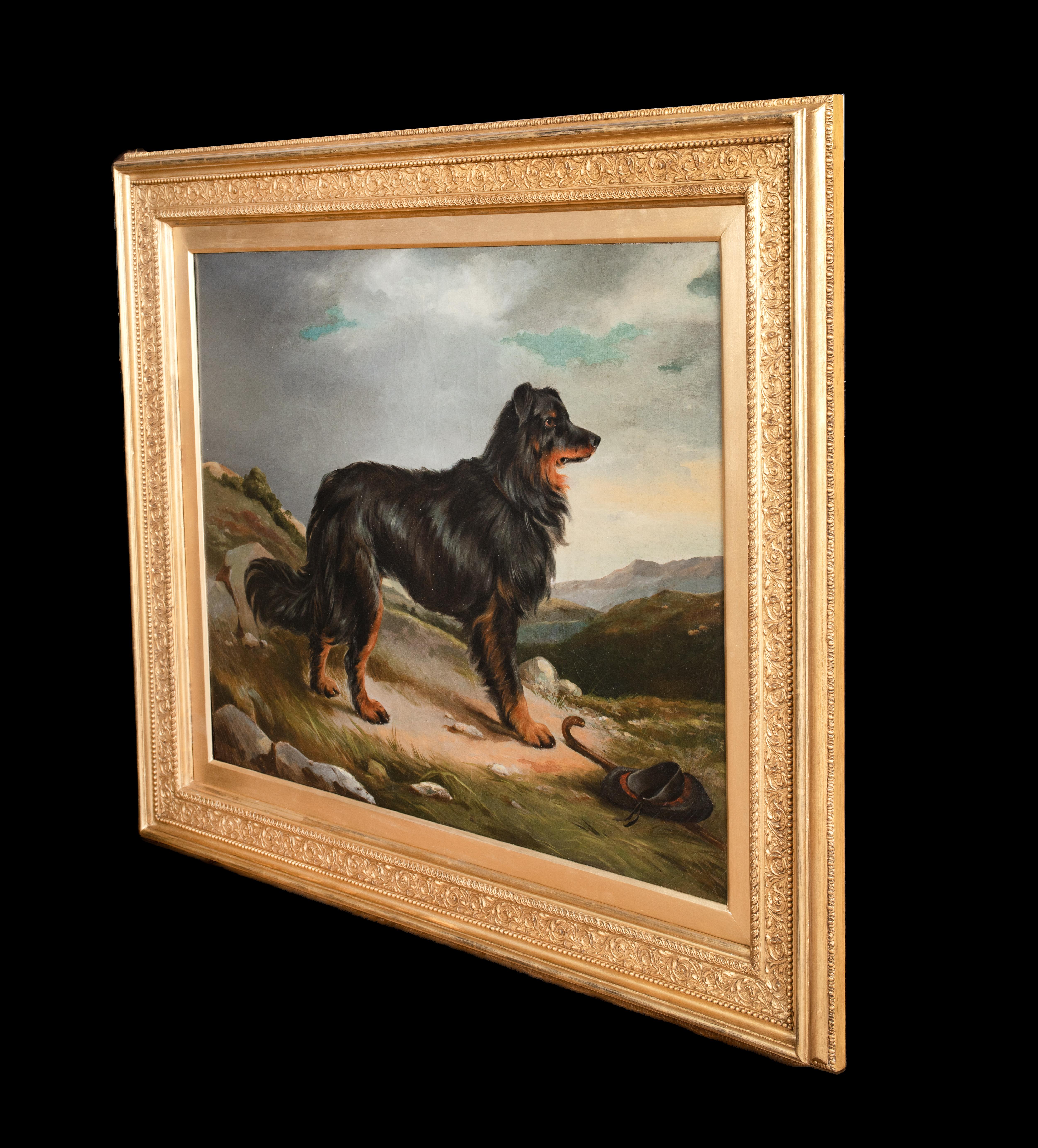 Black & Tan Border Collie In The Highlands, 19th Century  3