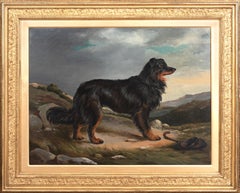 Black & Tan Border Collie In The Highlands, 19th Century 