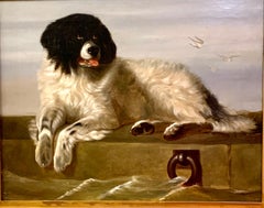 English 19th century, Portrait of a Newfoundland dog, seated