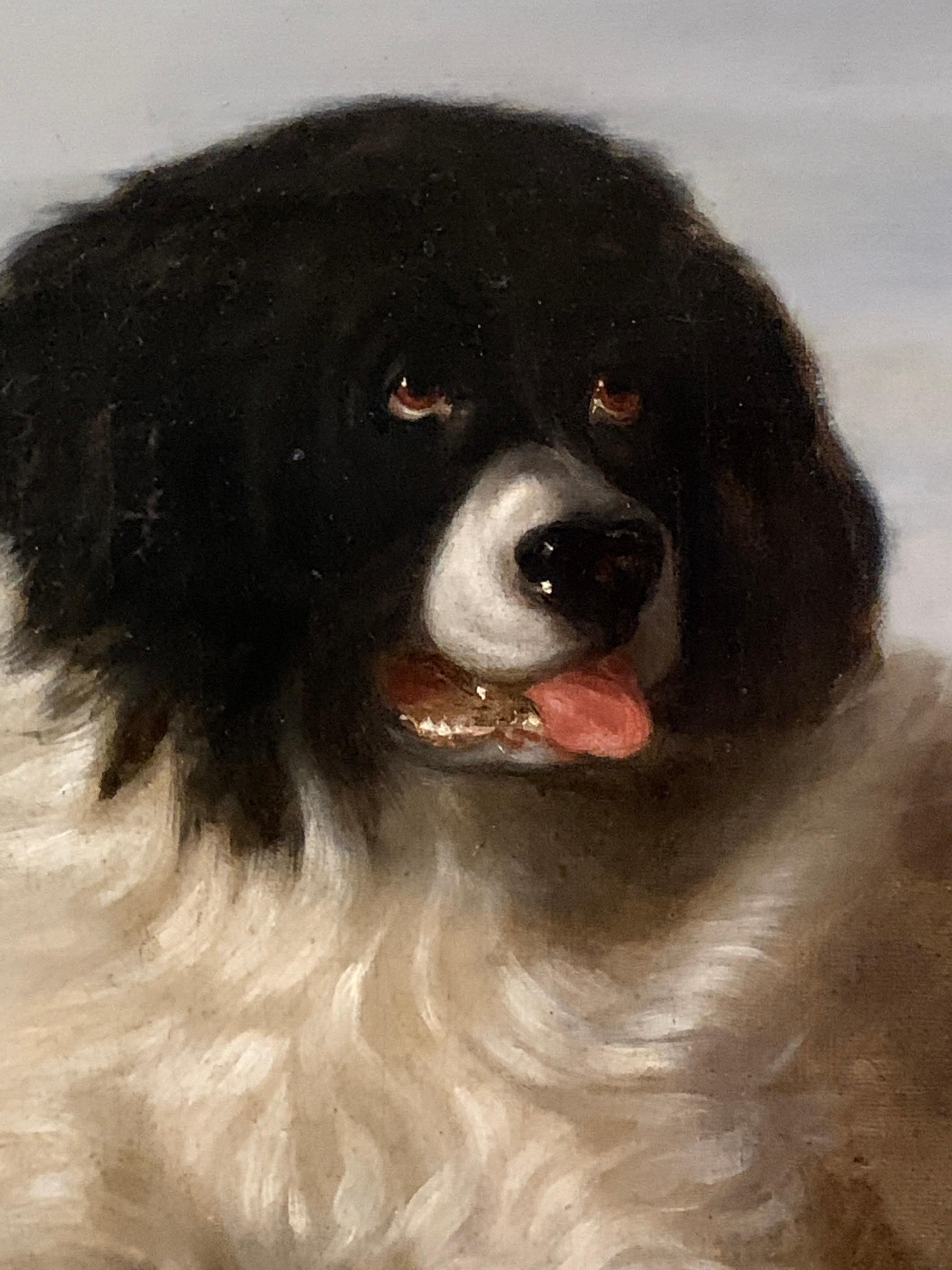 English 19th century, Portrait of a Newfoundland dog, seated - Victorian Painting by Sir Edwin Landseer
