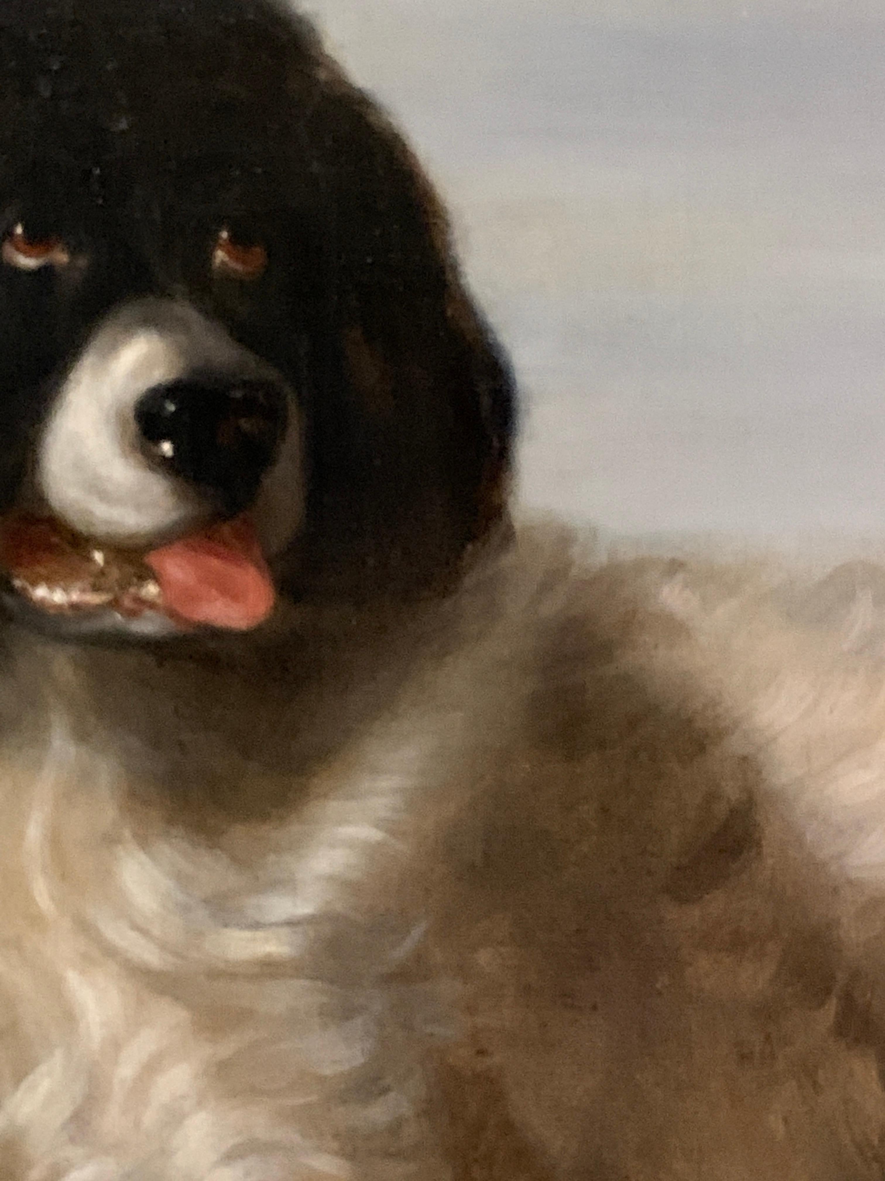 English 19th century, Portrait of a Newfoundland dog, seated 1