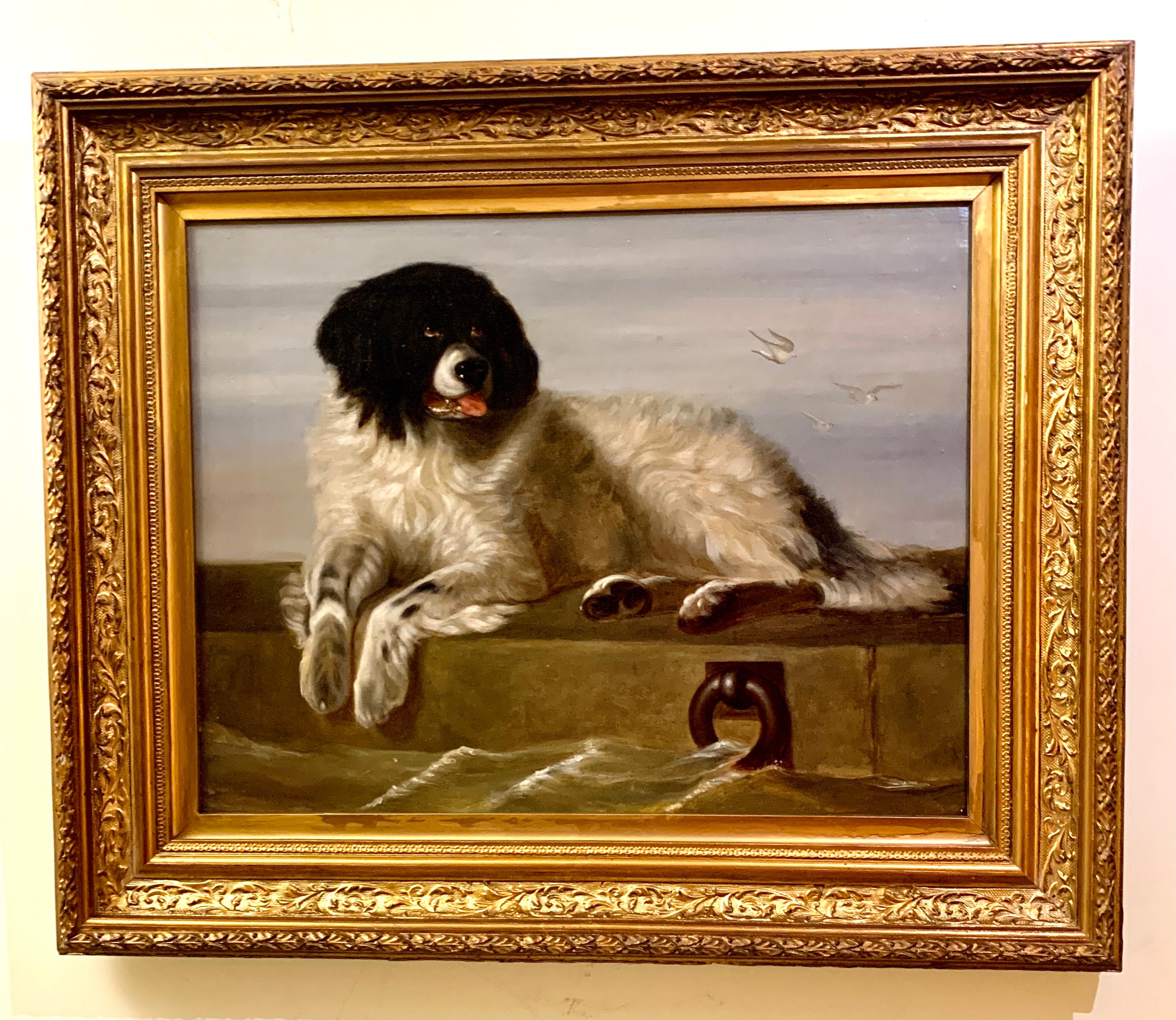 English 19th century, Portrait of a Newfoundland dog, seated