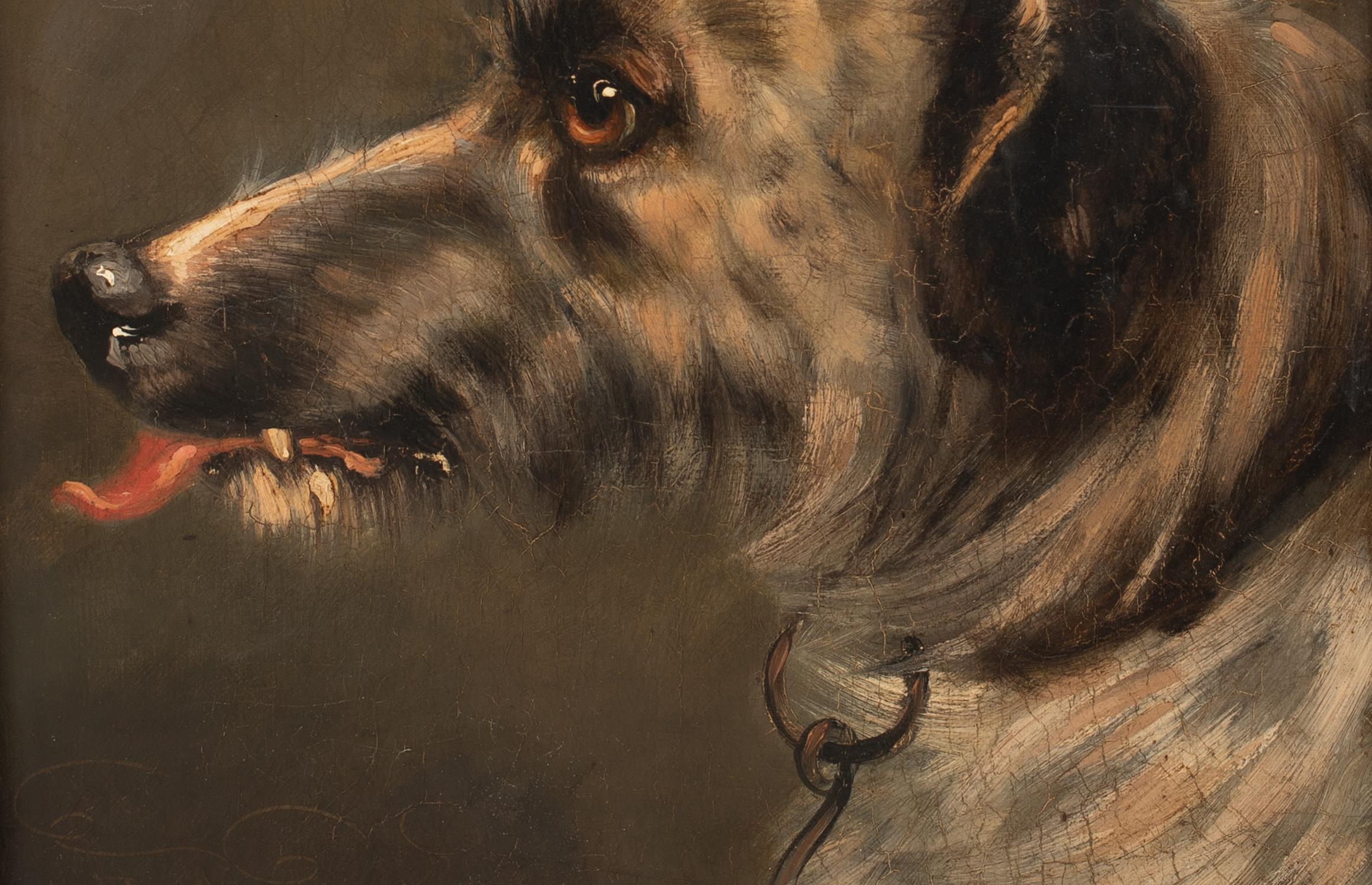 Ritratto di sbandato, XIX secolo  Cerchio di Sir Edwin Henry Landseer 6