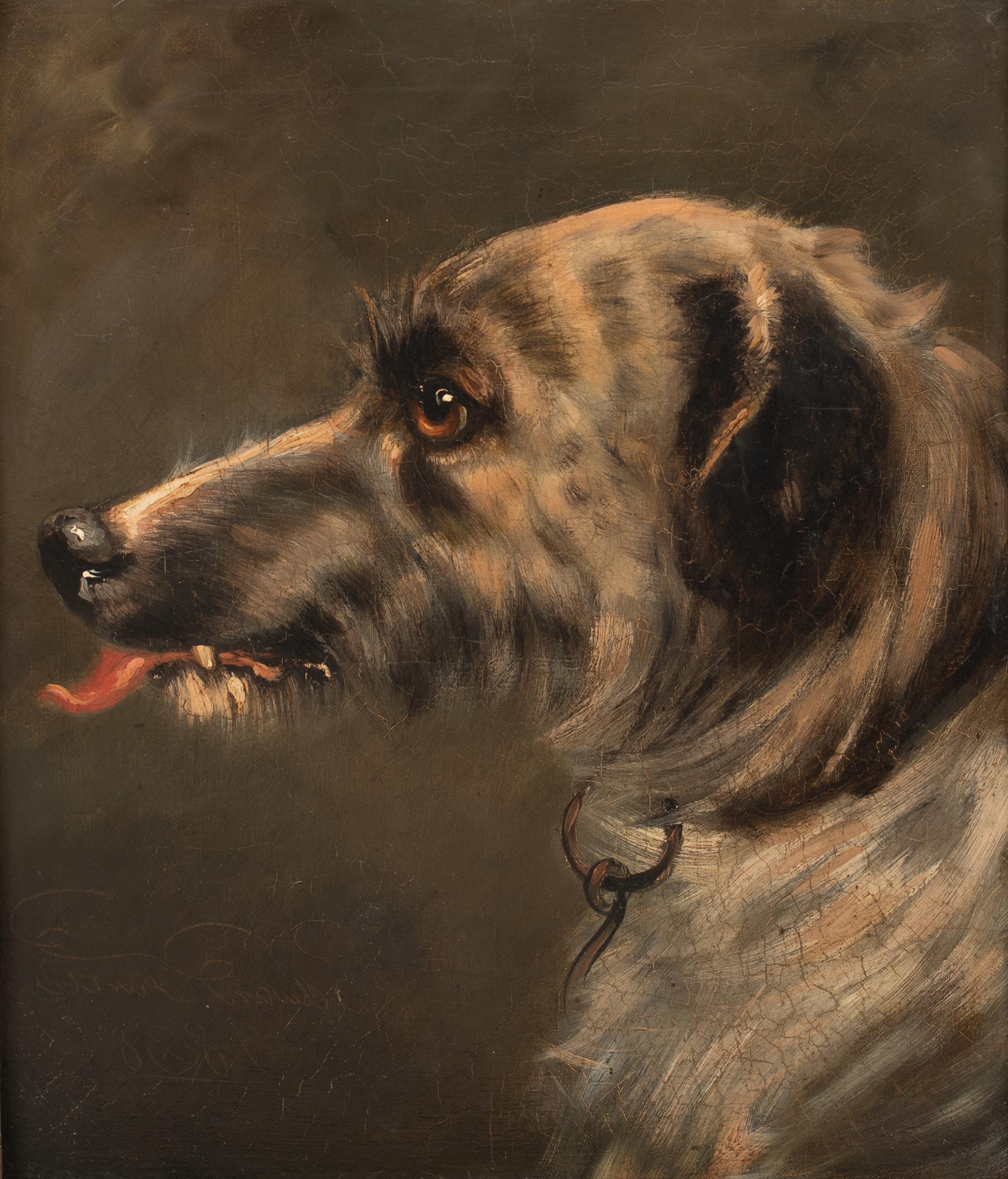 Ritratto di sbandato, XIX secolo  Cerchio di Sir Edwin Henry Landseer - Animal Painting Marrone di Sir Edwin Landseer