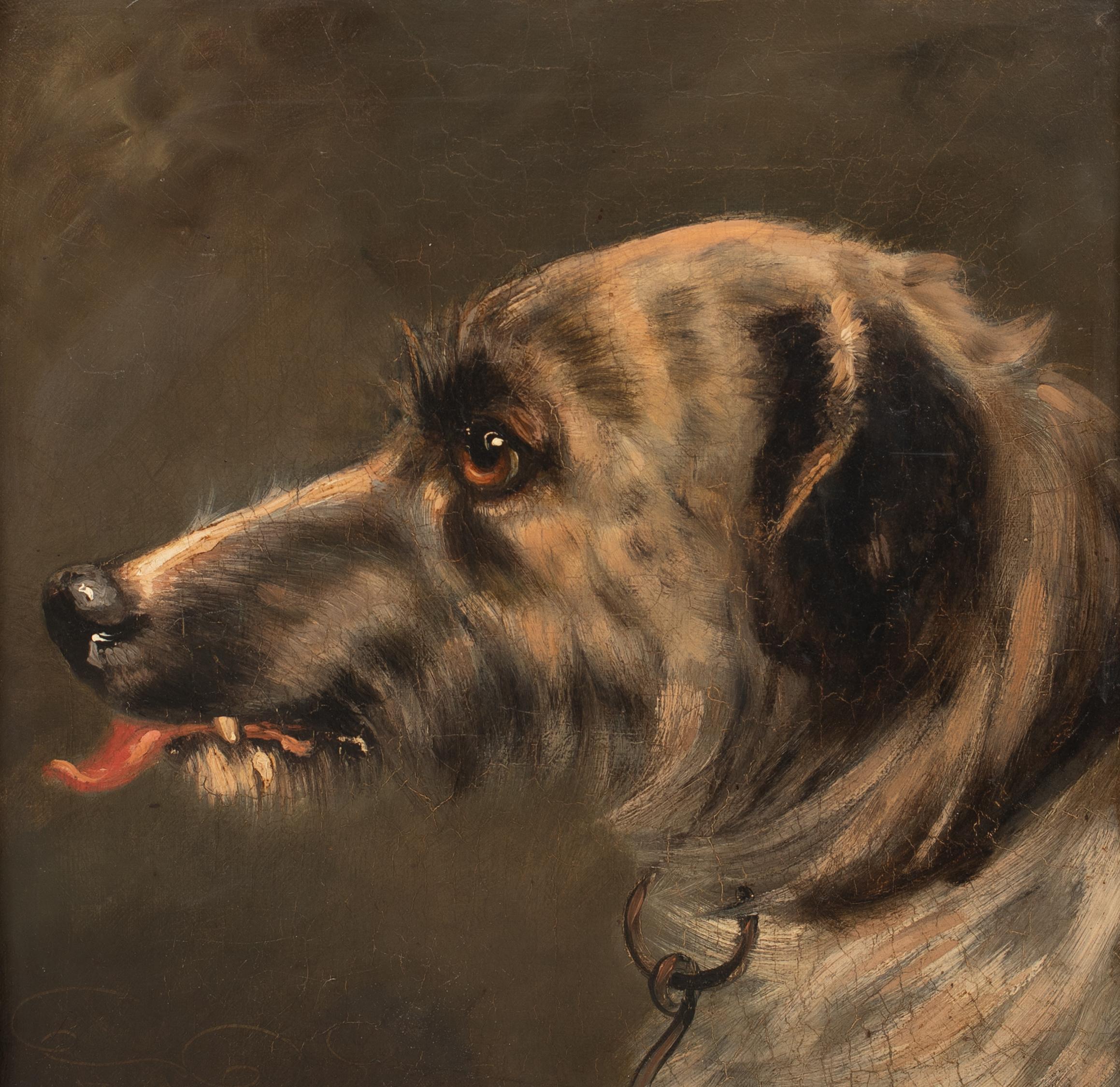 Ritratto di sbandato, XIX secolo  Cerchio di Sir Edwin Henry Landseer 2