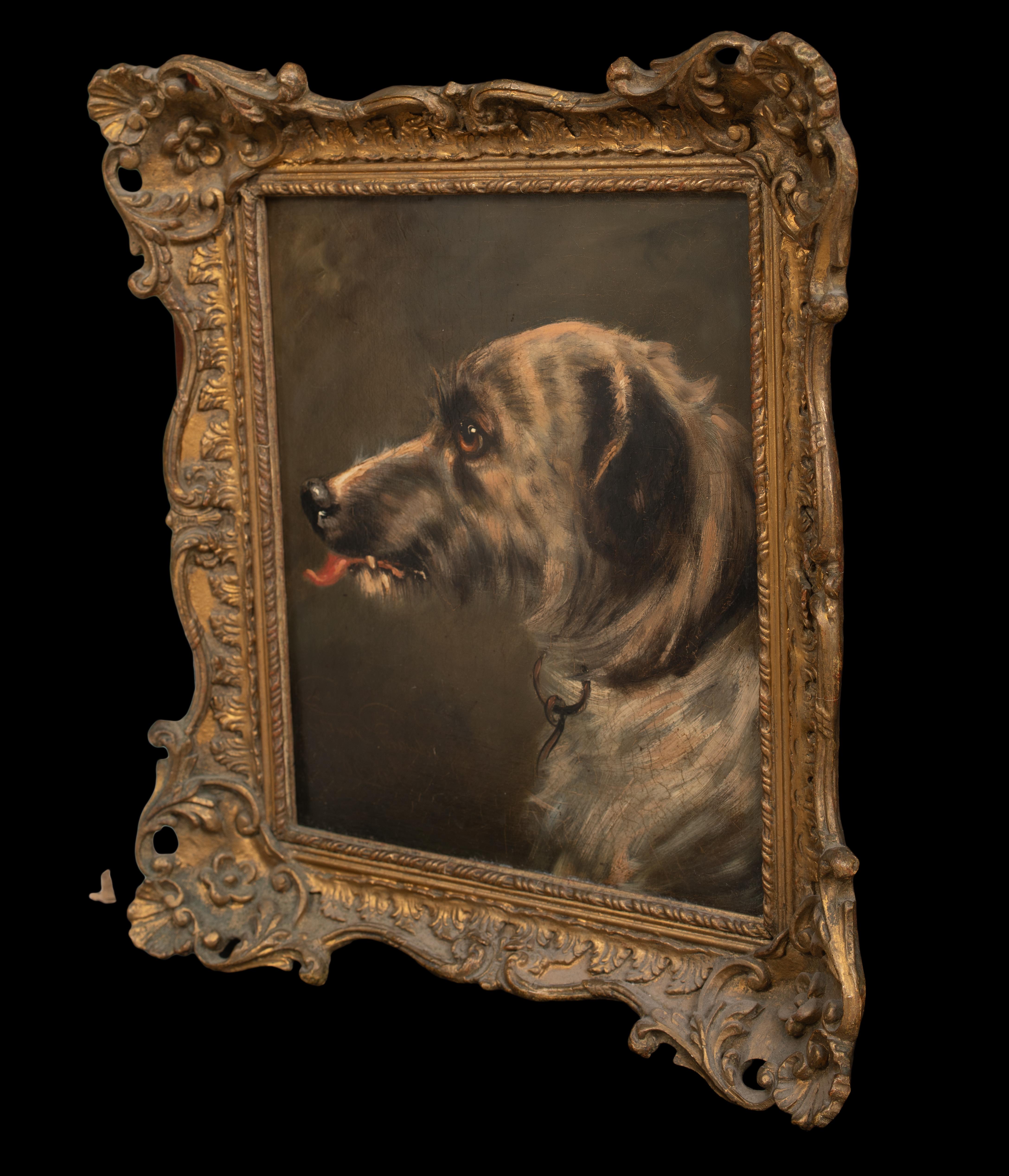 Ritratto di sbandato, XIX secolo  Cerchio di Sir Edwin Henry Landseer 4