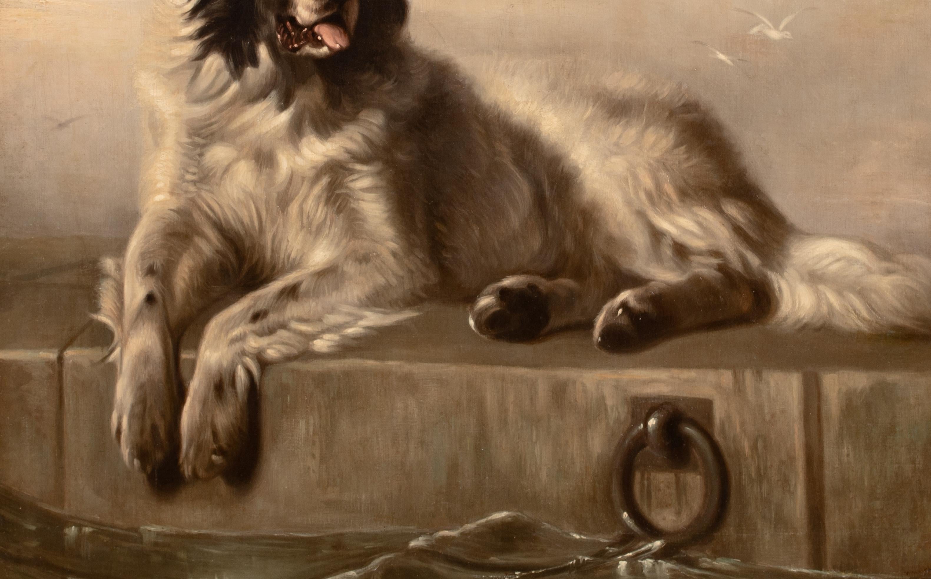 Portrait d'un chien de Terre-Neuve, 19e siècle  Après SIR EDWIN HENRY LANDSEER 6