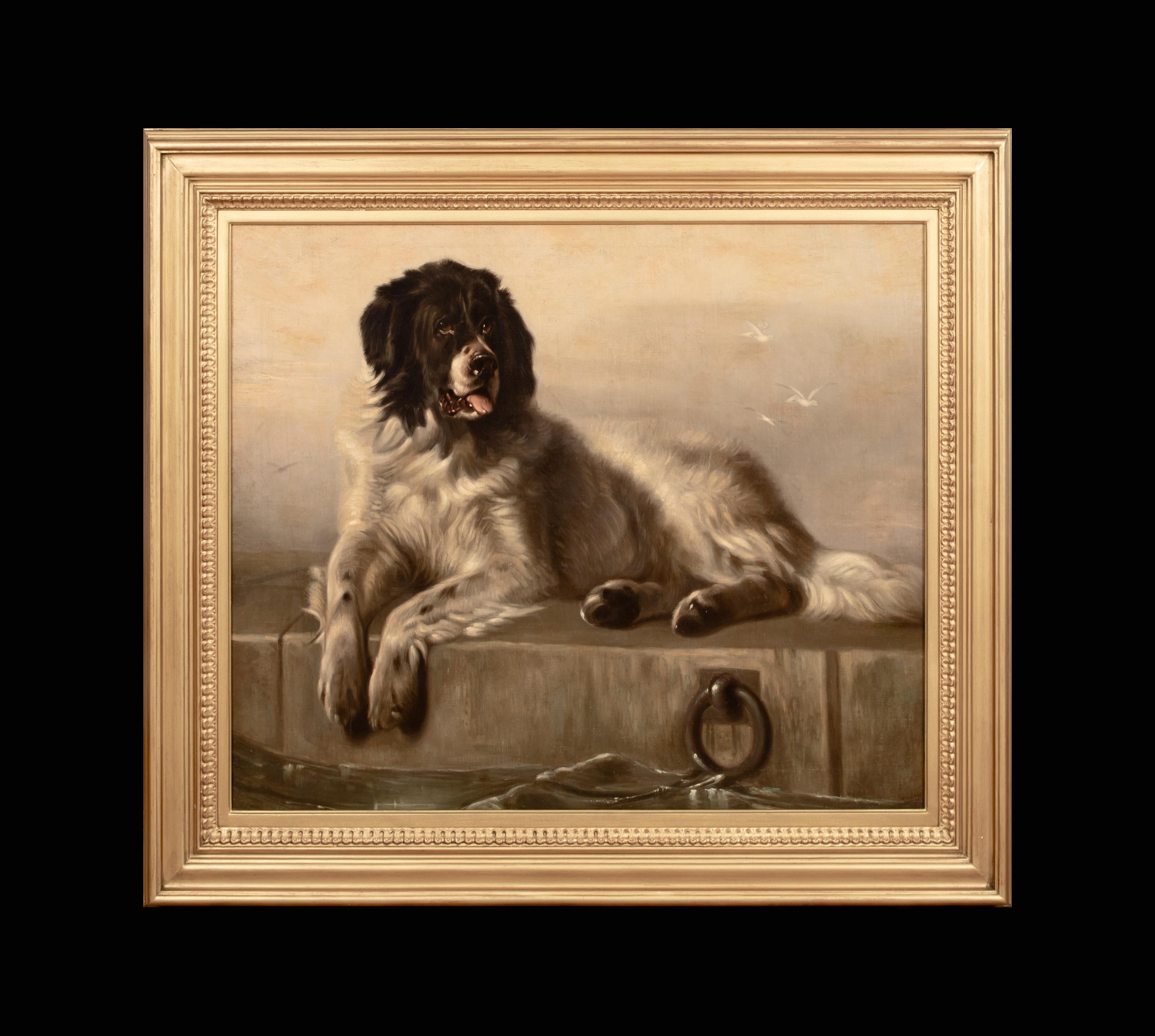Portrait d'un chien de Terre-Neuve, 19e siècle  Après SIR EDWIN HENRY LANDSEER - Painting de Sir Edwin Landseer