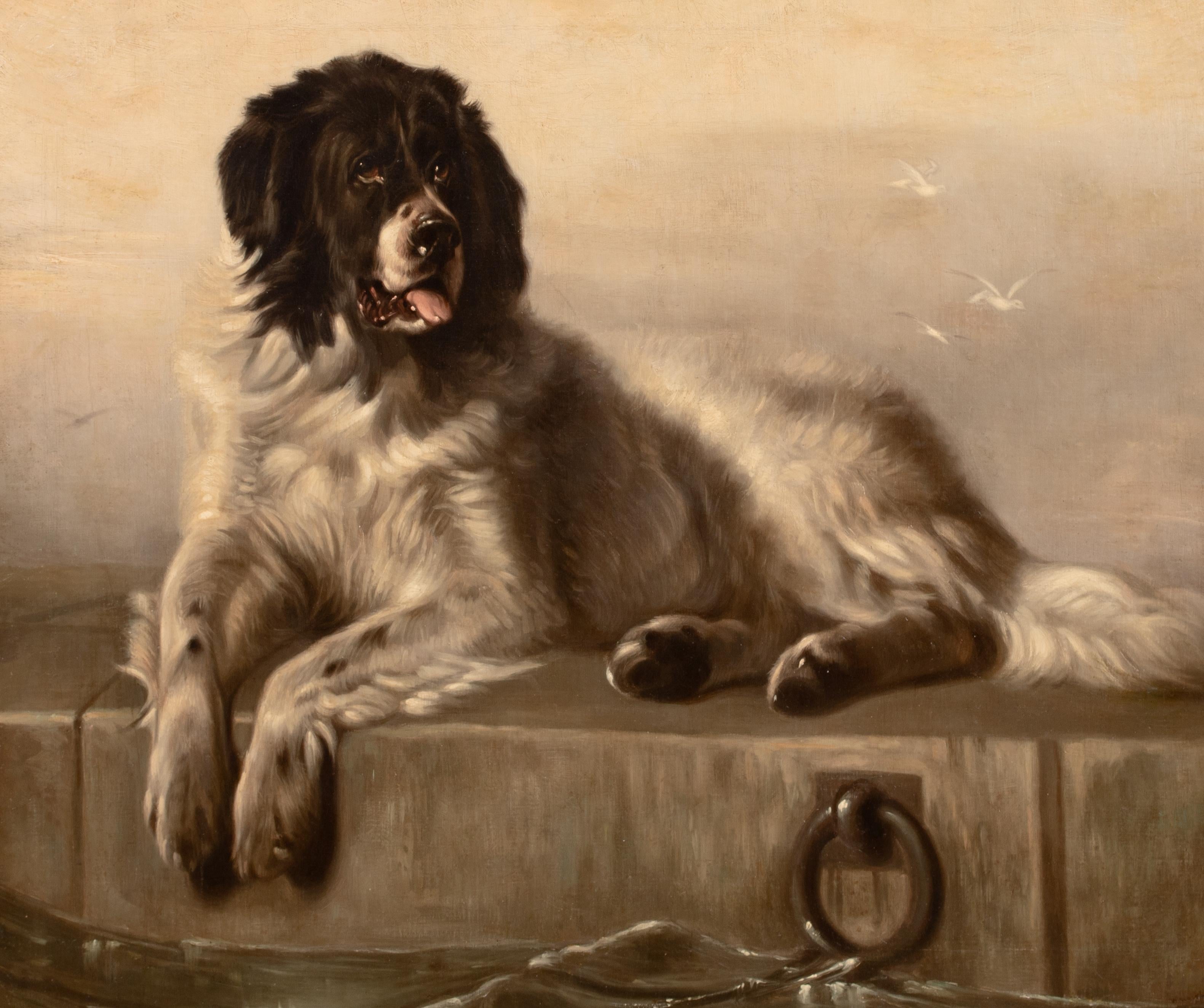 Portrait d'un chien de Terre-Neuve, 19e siècle  Après SIR EDWIN HENRY LANDSEER - Marron Animal Painting par Sir Edwin Landseer