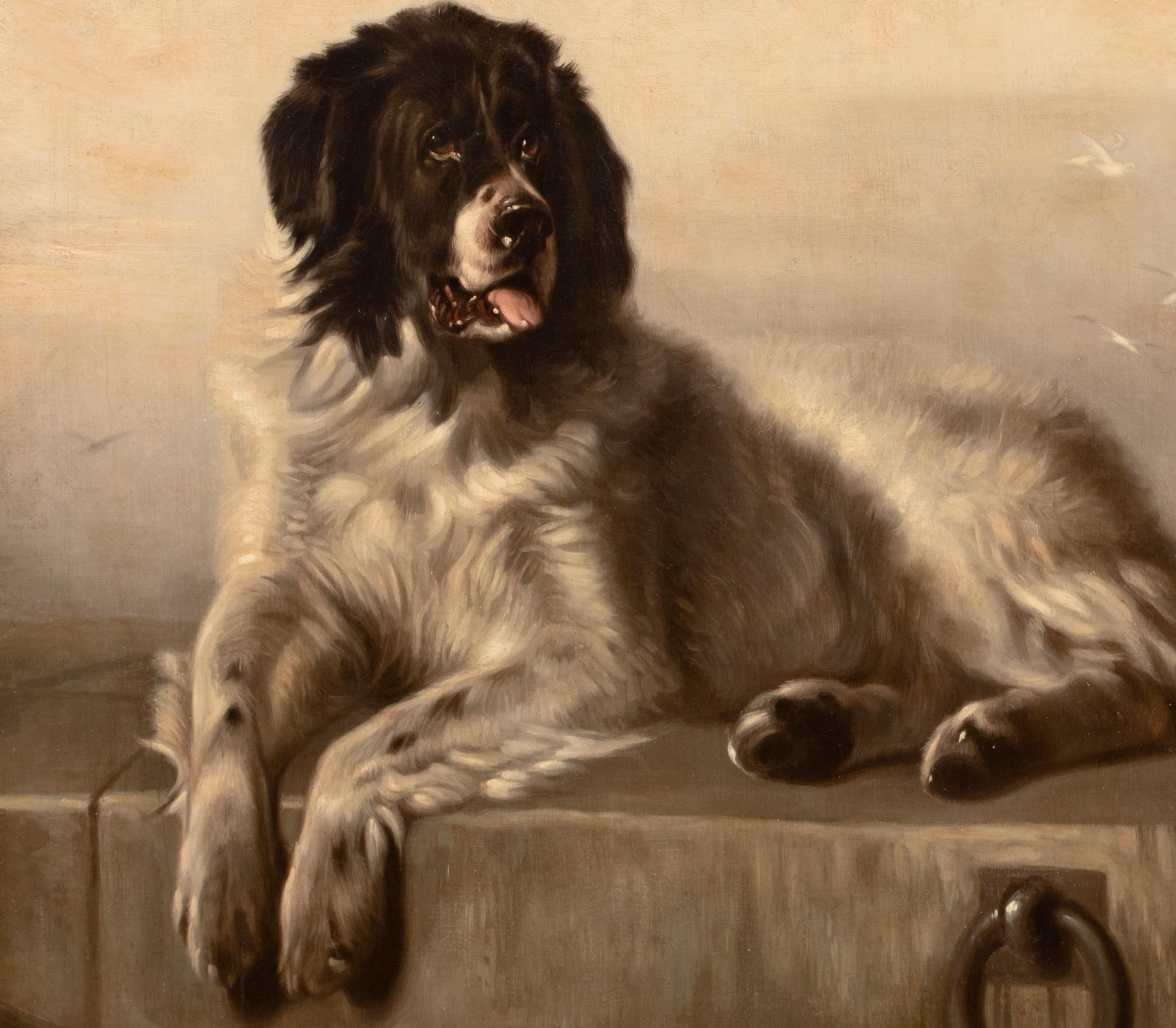 Portrait d'un chien de Terre-Neuve, 19e siècle  Après SIR EDWIN HENRY LANDSEER 1