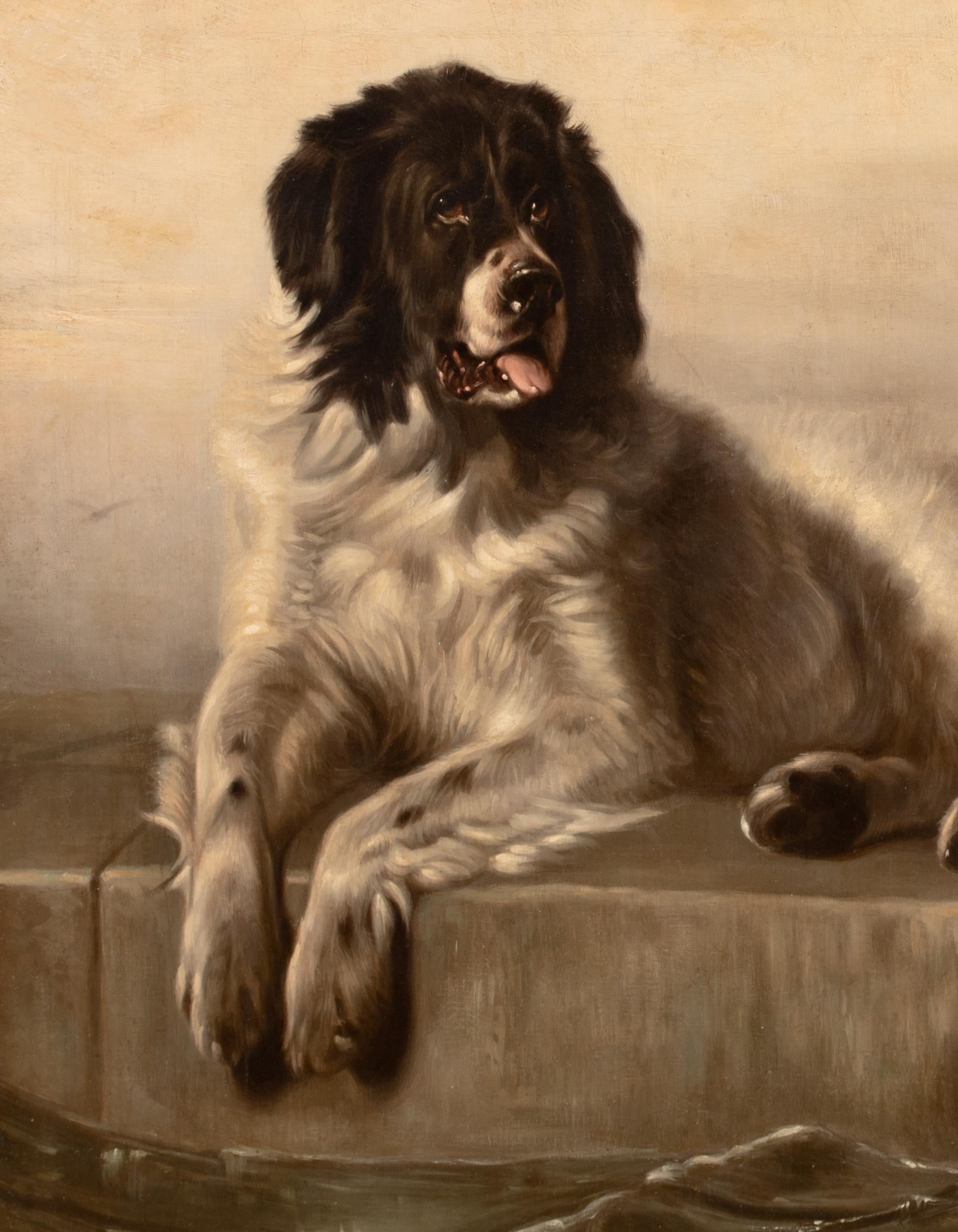 Portrait d'un chien de Terre-Neuve, 19e siècle  Après SIR EDWIN HENRY LANDSEER 2