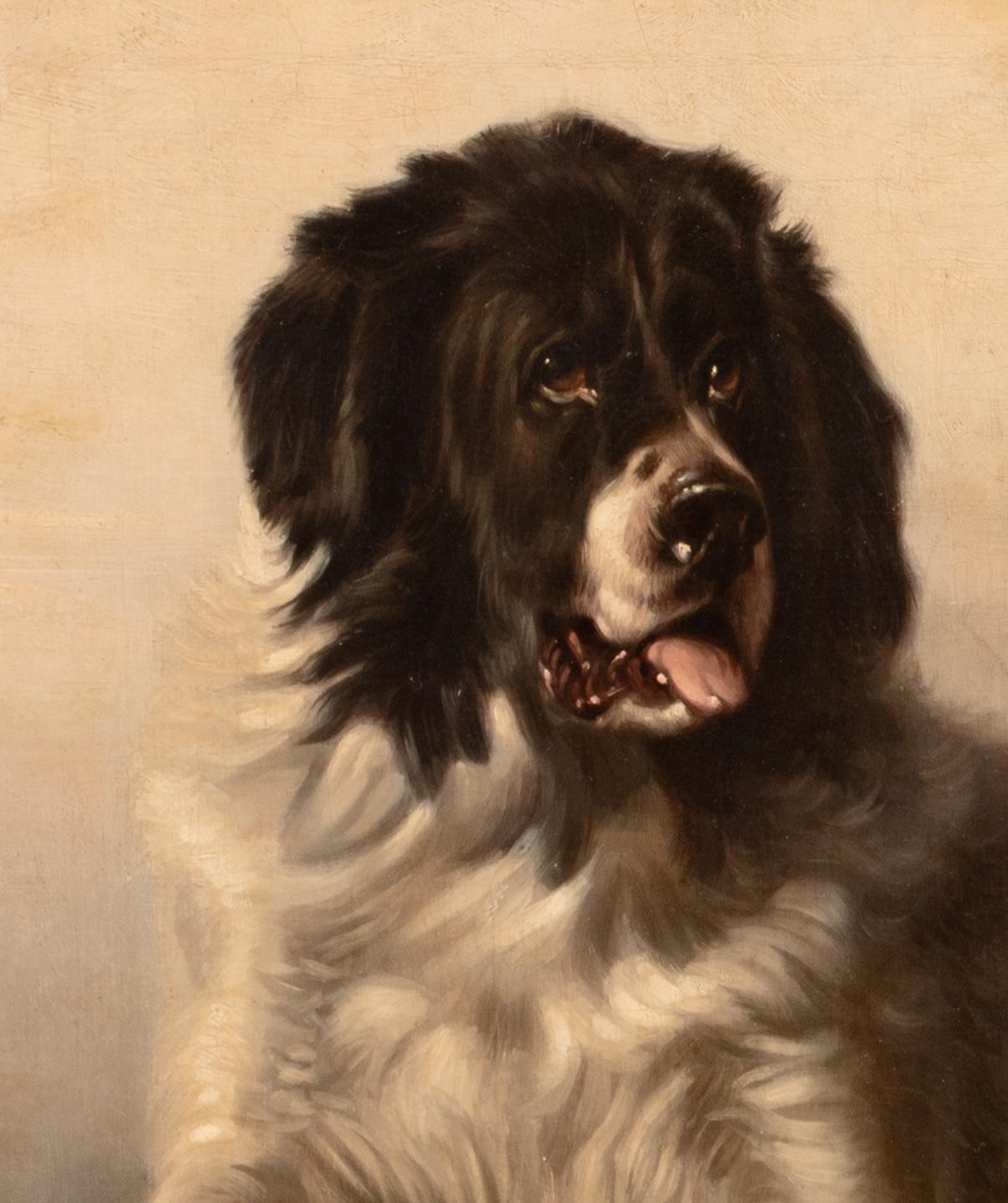 Portrait d'un chien de Terre-Neuve, 19e siècle  Après SIR EDWIN HENRY LANDSEER 3