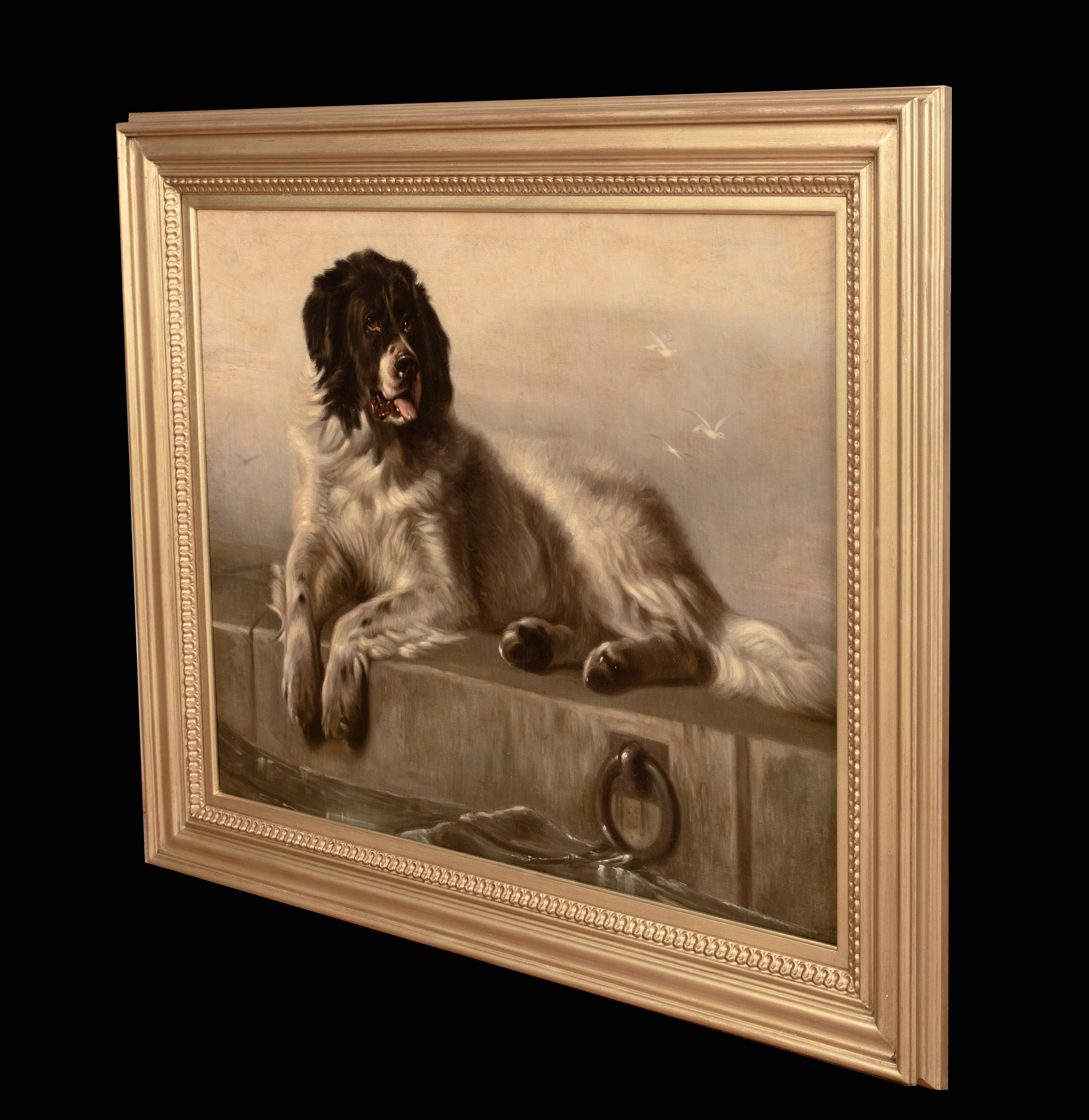 Portrait d'un chien de Terre-Neuve, 19e siècle  Après SIR EDWIN HENRY LANDSEER 4