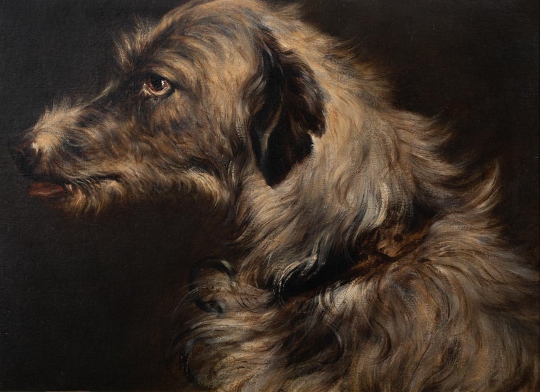 Portrait of An Irish Wolfhound, 19th century

attributed to Edwin Henry LANDSEER (1802-1873)

Large 19th Century portrait of an Irish Wolfhound, oil on canvas attributed to Edwin Landseer. Excellent quality and condition side profile head study
