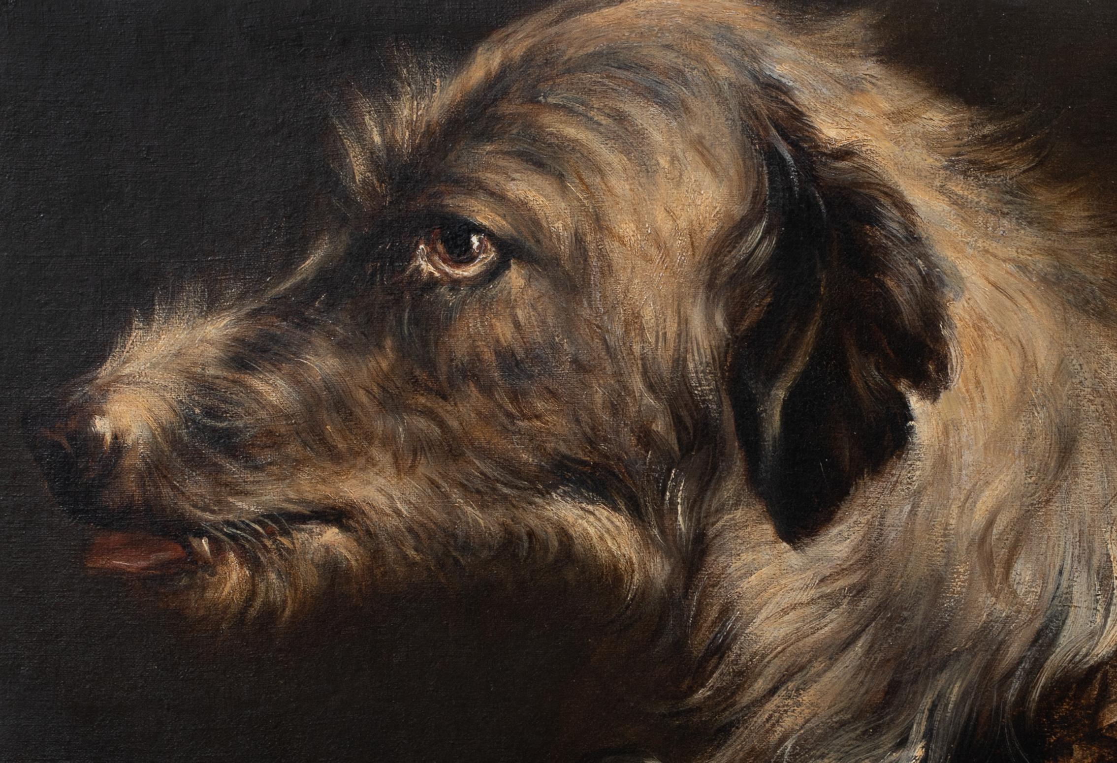 Portrait of An Irish Wolfhound, 19th century

attributed to Edwin Henry LANDSEER (1802-1873)

Large 19th Century portrait of an Irish Wolfhound, oil on canvas attributed to Edwin Landseer. Excellent quality and condition side profile head study