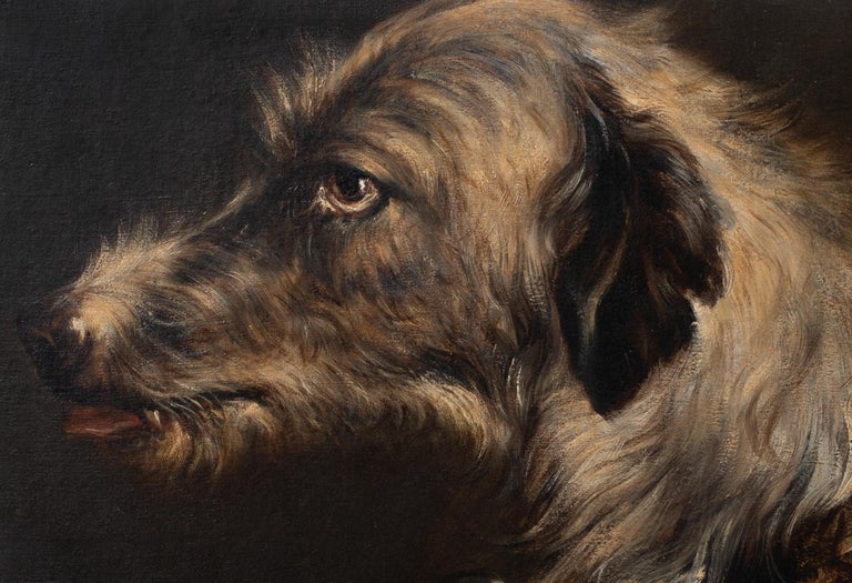 Portrait of An Irish Wolfhound, 19th century 3