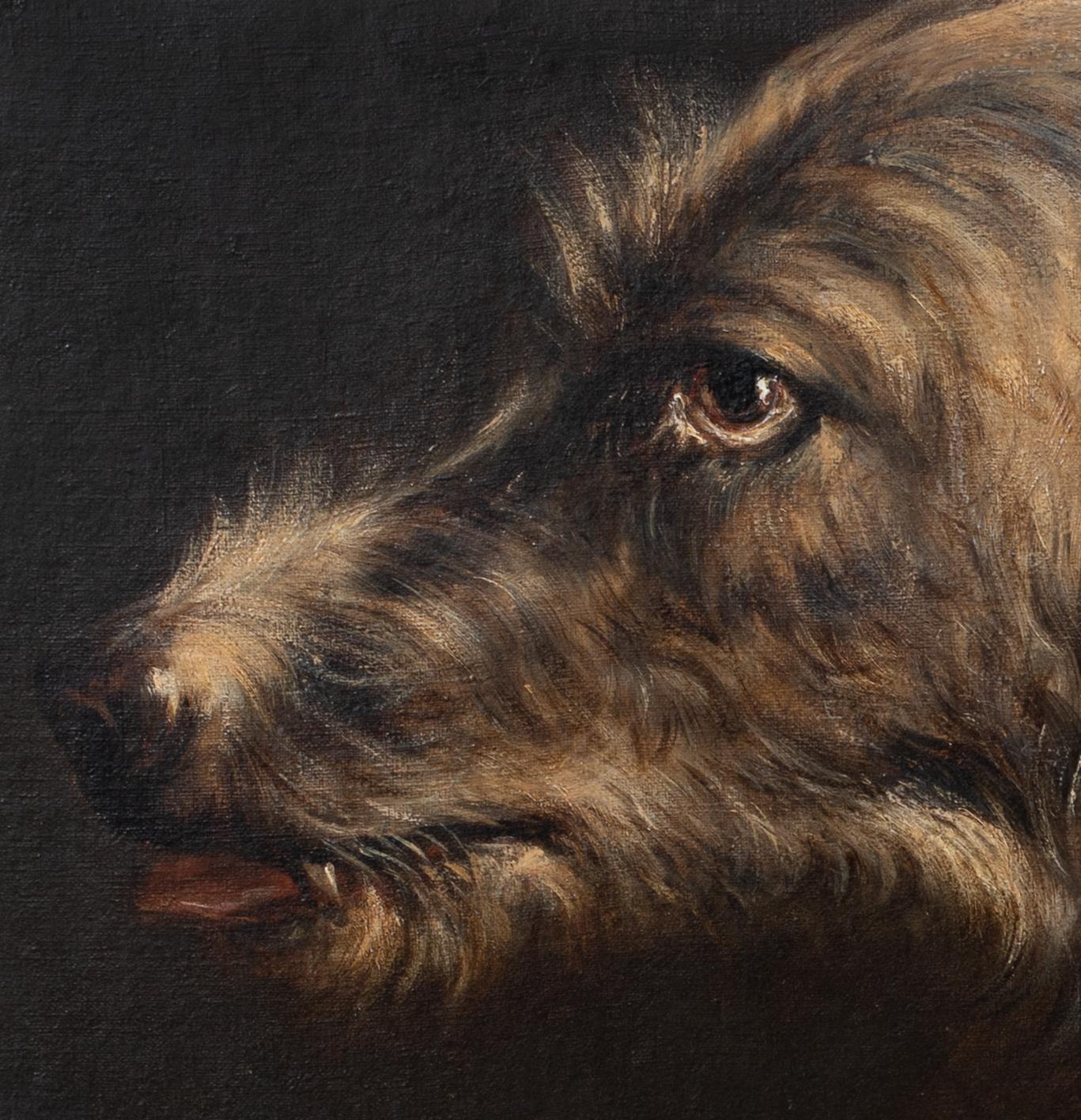 Portrait of An Irish Wolfhound, 19th century 1