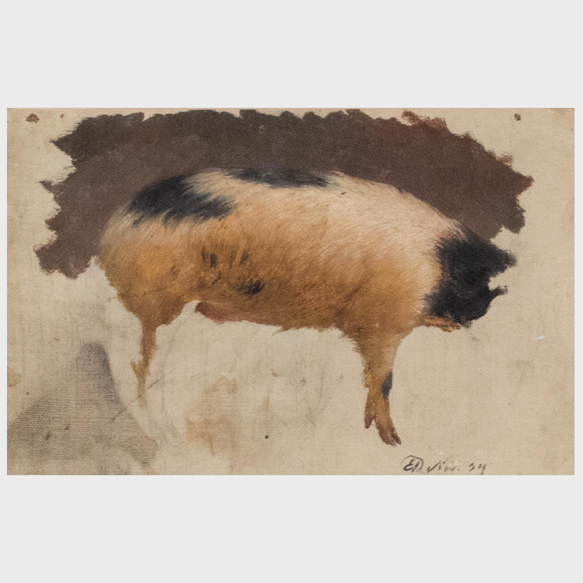 Studie über ein Schwein (Englische Schule), Painting, von Sir Edwin Landseer