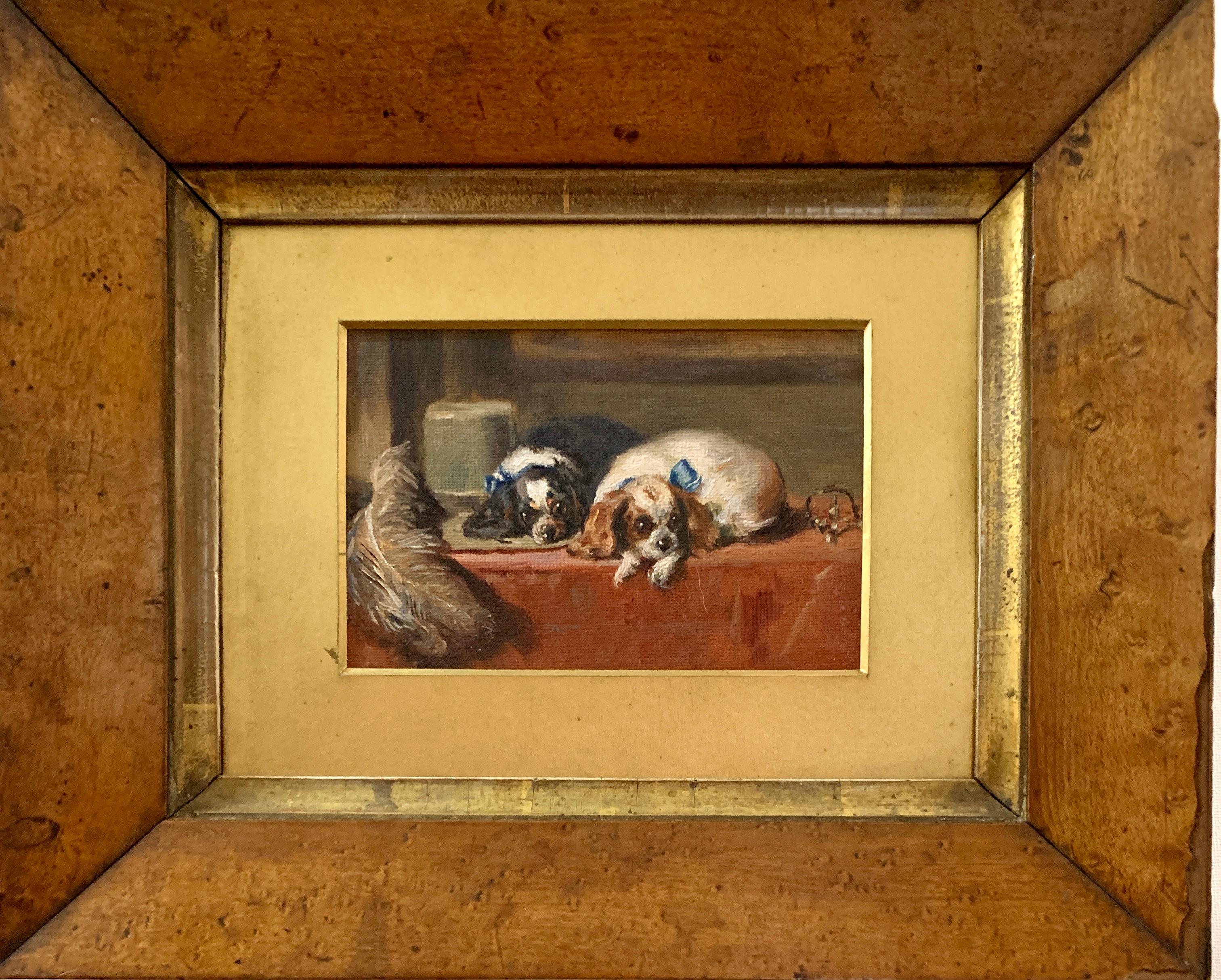 Victorian portrait of two seated Spaniels on a cushion in a maple wood frame