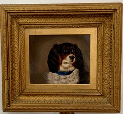 19th century English Antique Portrait of a King Charles Cavalier dog spaniel