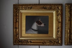 A white and tan short-haired terrier; and A white short-haired terrier