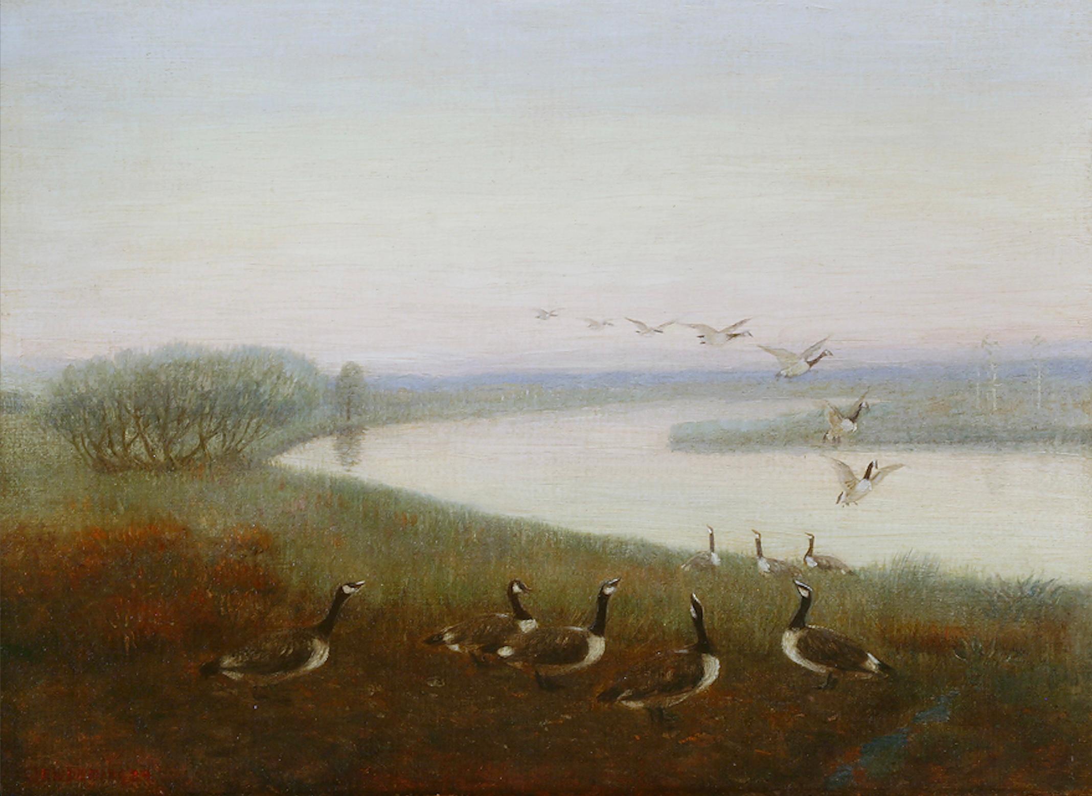Wild Geese