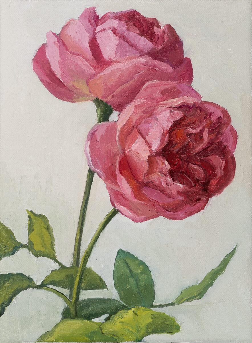 Still-Life Painting di Edwina Lucas - "Home Grown Blooms", piccole rose rosa, natura morta realista su sfondo bianco sporco
