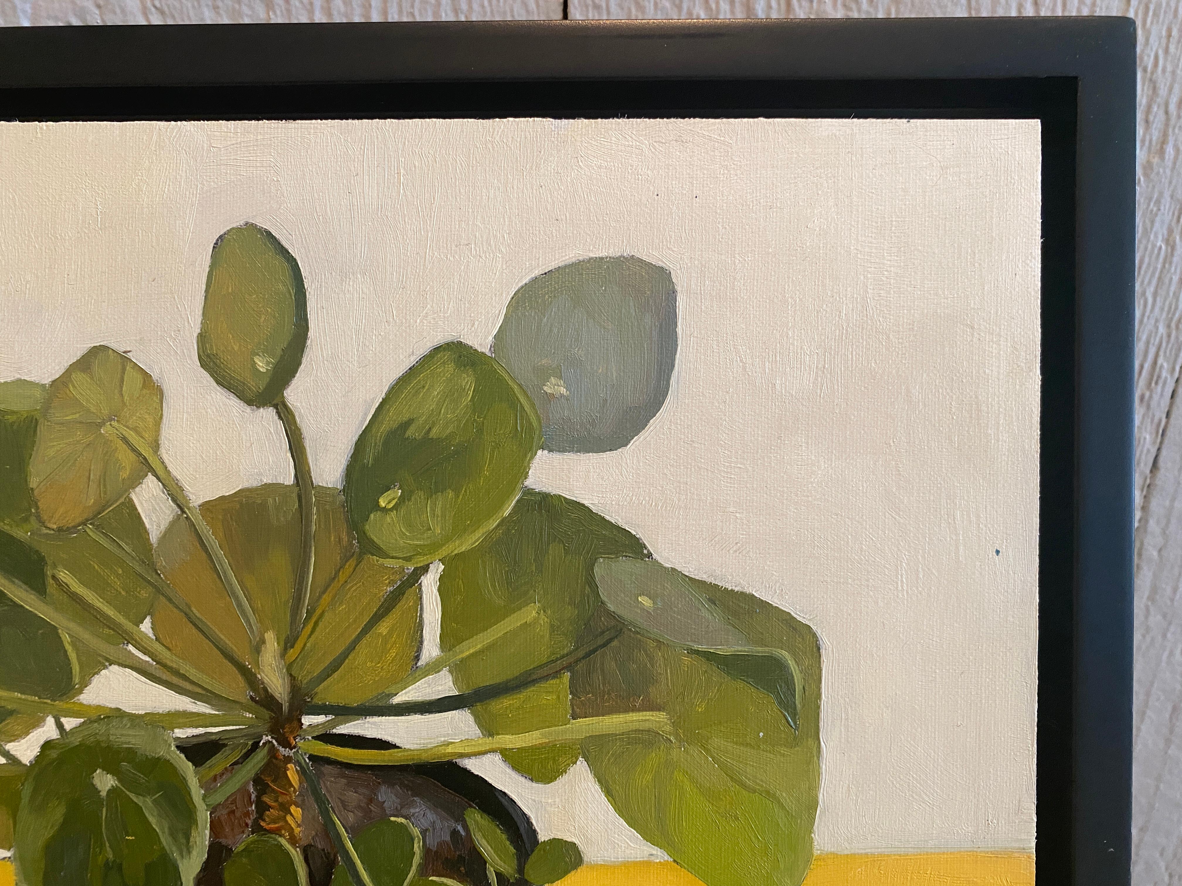 Painted in the artist's studio in Sag Harbor, a vibrant, quirky houseplant sprouts from a white enamel pot, atop a yellow tabletop. An oil painting, on a square panel, framed in a simple modern black floating frame. 


Edwina Lucas was born and