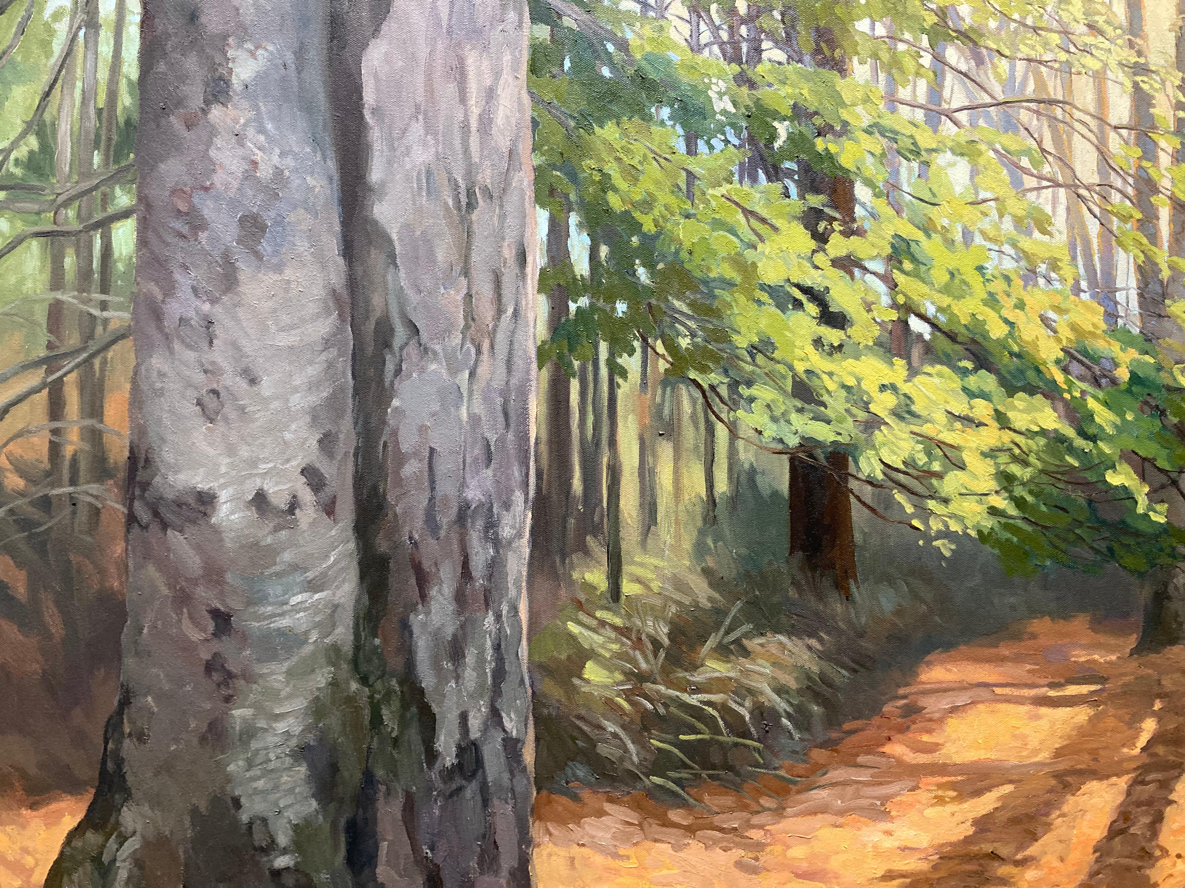 « Spirit of the Woods », réalisme américain, lumière traversant la forêt en vente 3