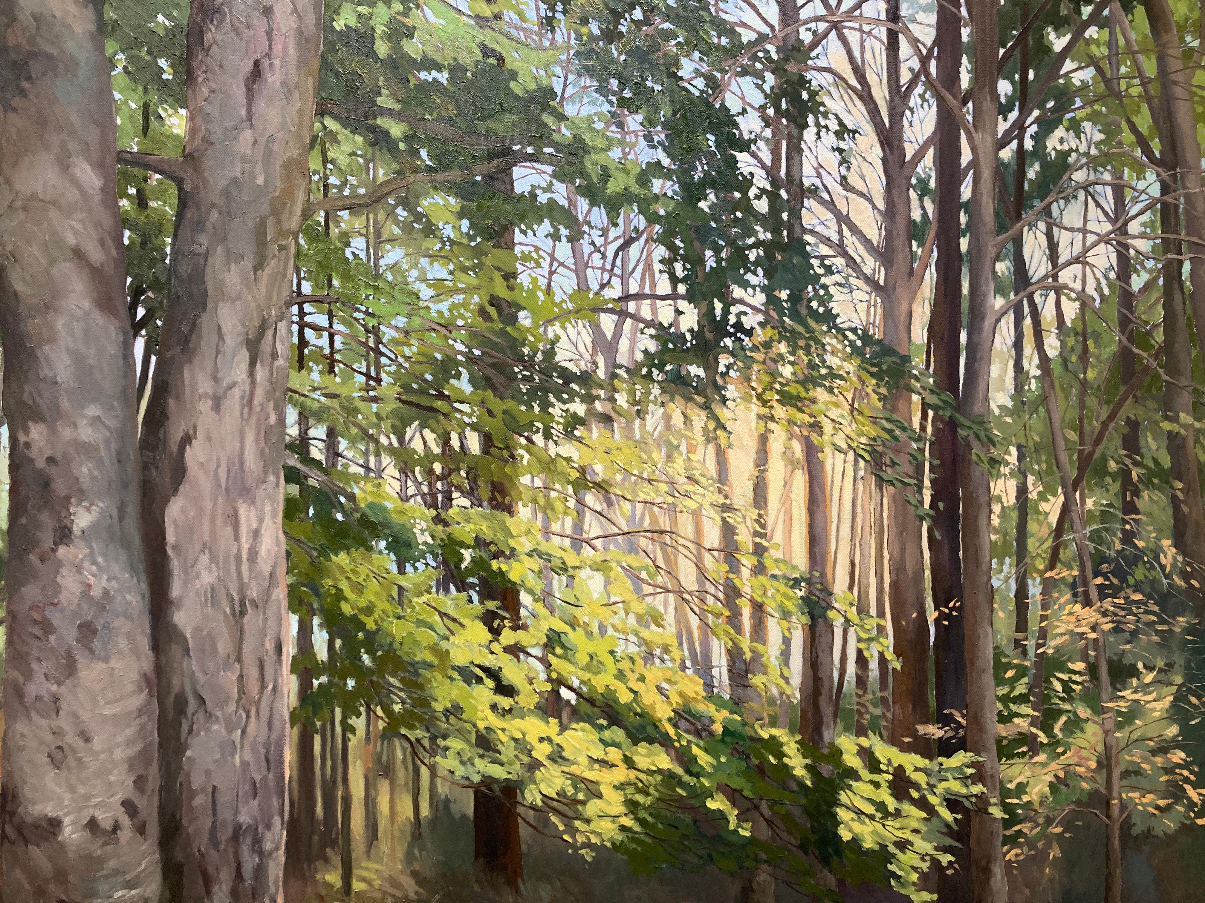 « Spirit of the Woods », réalisme américain, lumière traversant la forêt en vente 4