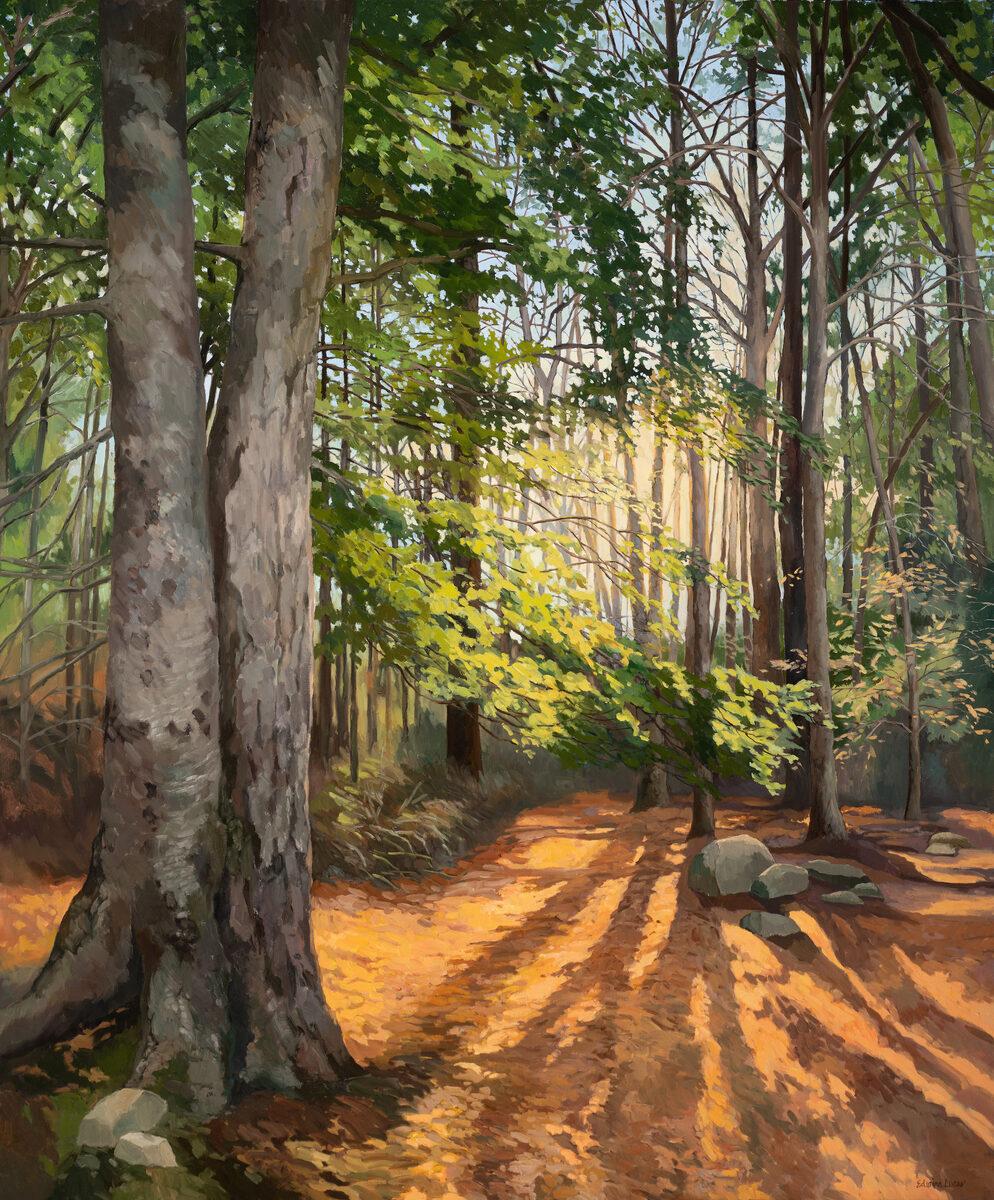 Edwina Lucas Still-Life Painting - "Spirit of the Woods" American Realism, light streaming through forest