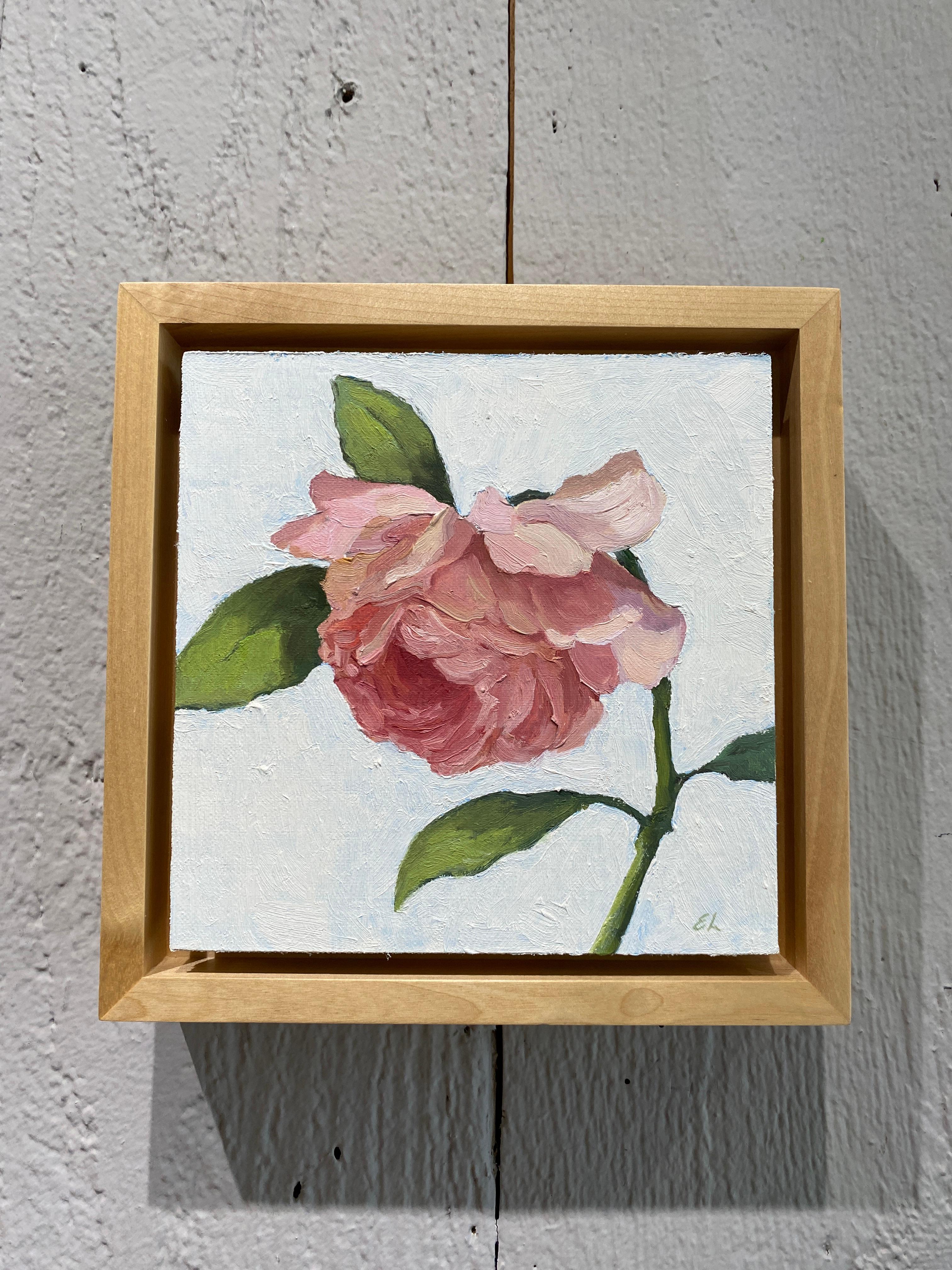 Kleines realistisches Ölgemälde „Take a Bow“ aus rosa Rosen in einfachem schwebendem Rahmen – Painting von Edwina Lucas