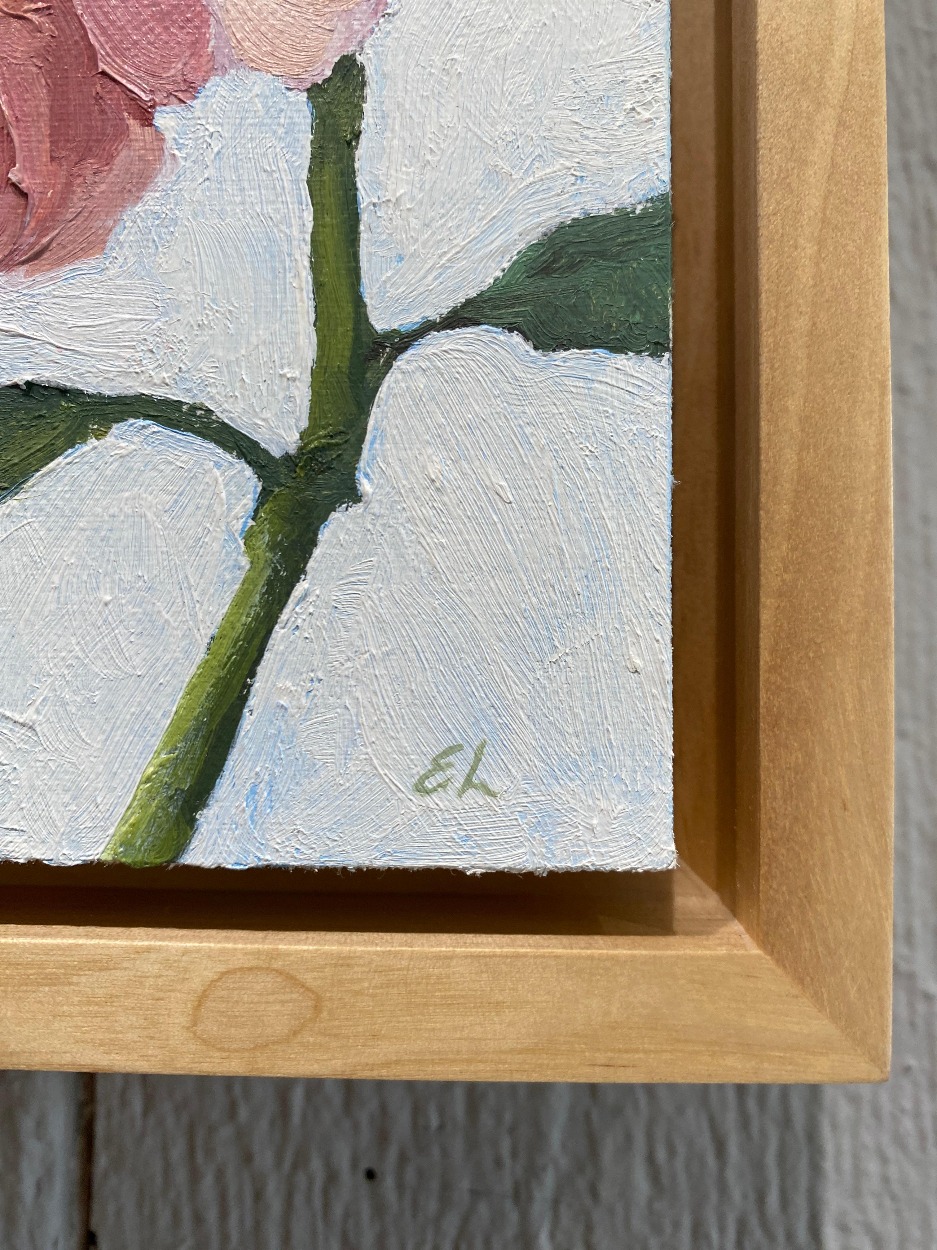 A small square oil painting of a pink peony on a white background. 

Framed in a modern natural wood floating frame. 