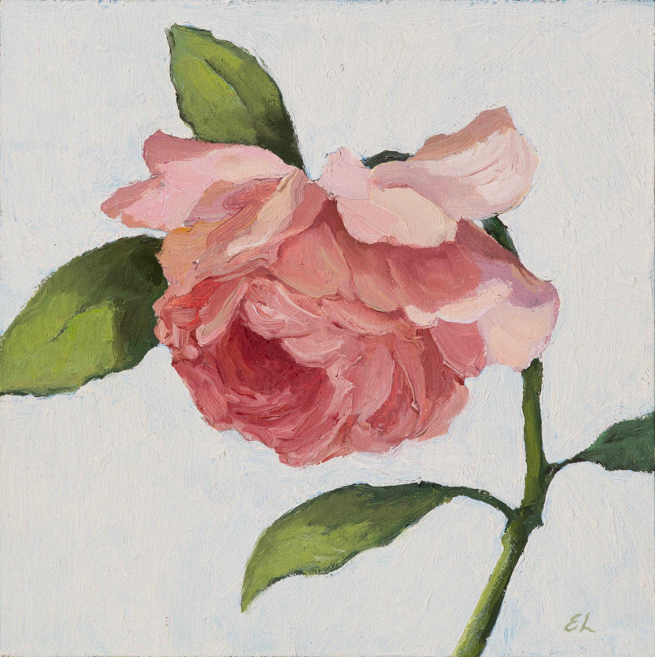 Edwina Lucas Portrait Painting - "Take a Bow" small realist oil painting of pink rose in simple floating frame