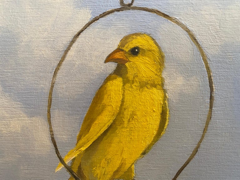 Yellow Bird For Sale 4