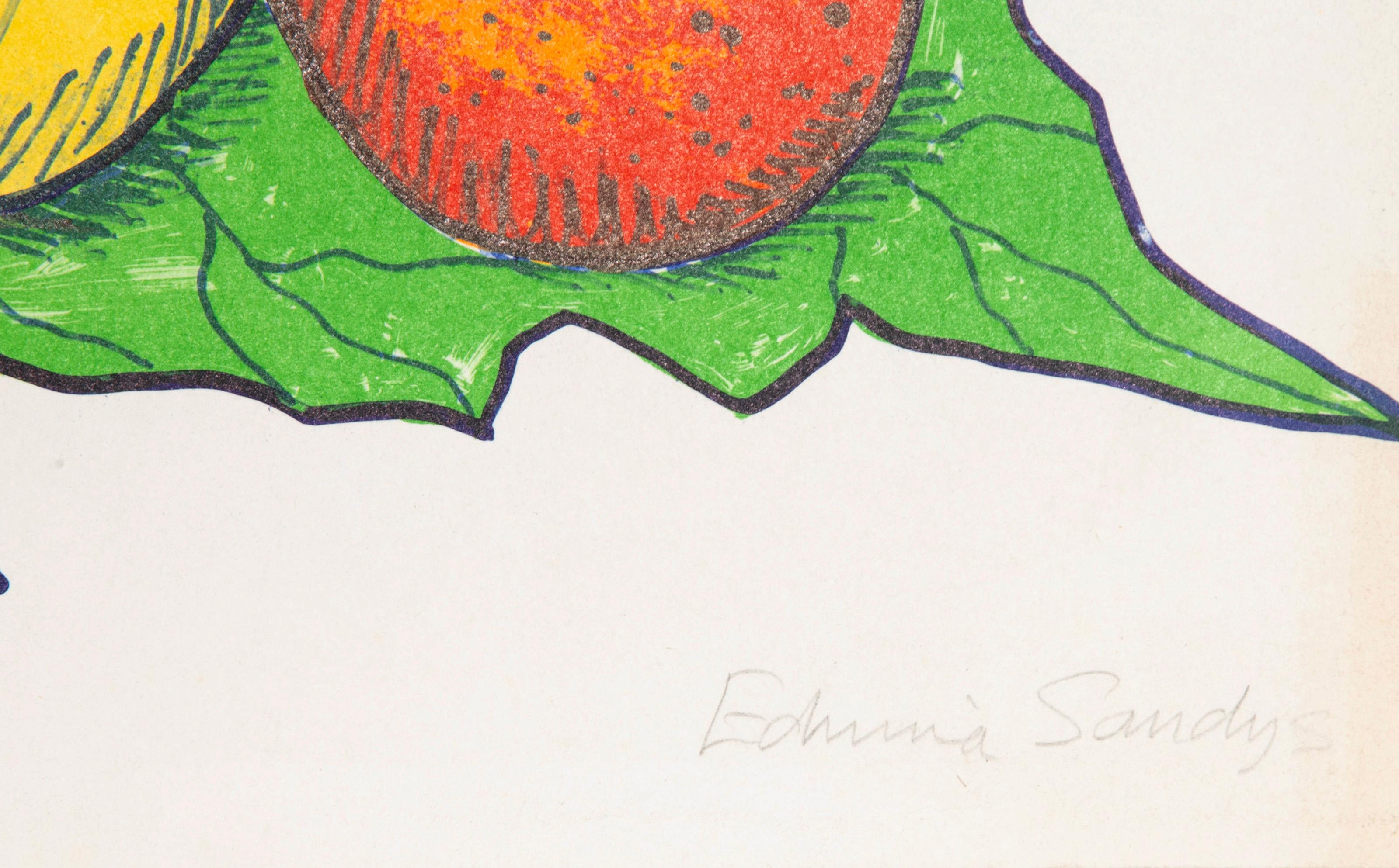 Fruit, Pop Art Lithograph by Edwina Sandys For Sale 3