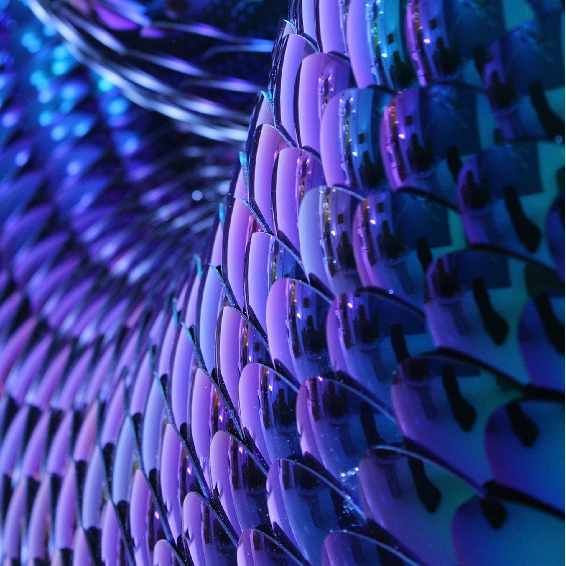 Blue & Green Torus Shape Art Wall Sculpture Habitat Elusive by Eelco Hilgerson For Sale 4