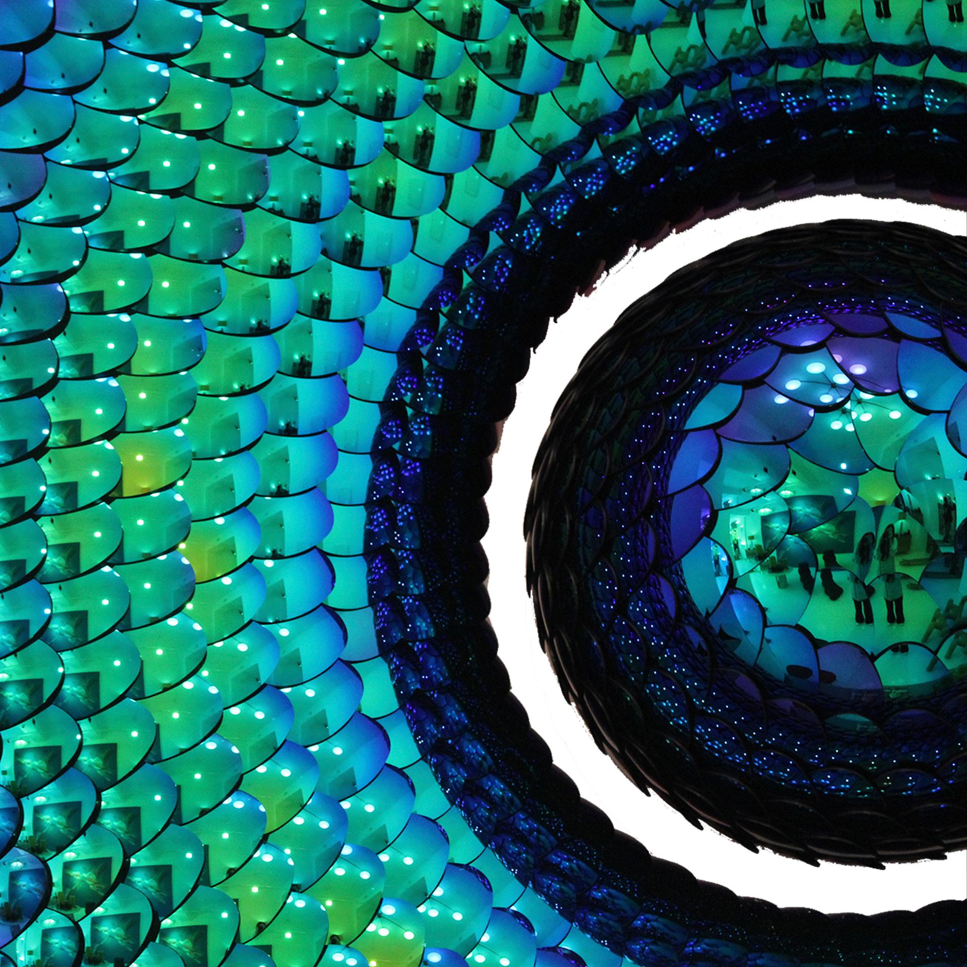 Blue & Green Torus Shape Art Wall Sculpture Habitat Elusive by Eelco Hilgerson For Sale 5