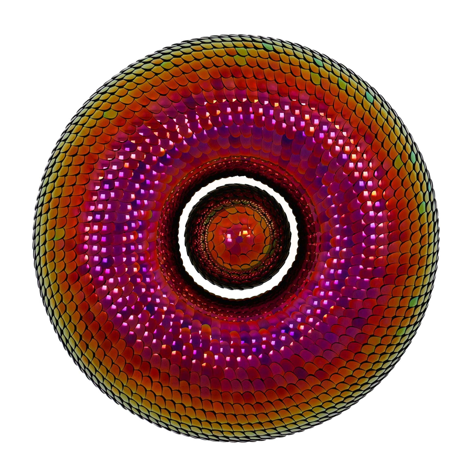 Escultura de Pared Efecto Espejo , Torus Rojo y Rosa,  por Eelco Hilgersom en venta 6