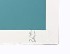 See What I Saw (Green), framed hand signed screen print
