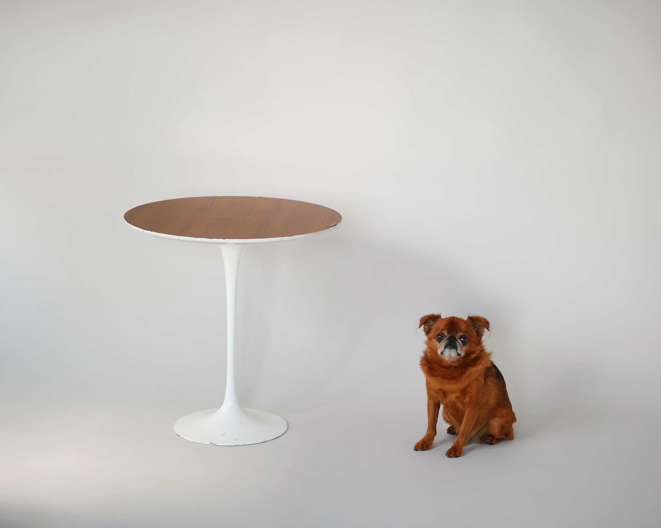 For your consideration is this all-original tulip side table designed in 1957 by Eero Saarinen for Knoll featuring an elegantly slim aluminum base with original off white finish and round walnut veneer top. An iconic classic of Mid-Century Modern