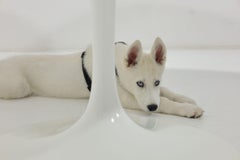 Mesa Tulip de Eero Saarinen para Knoll