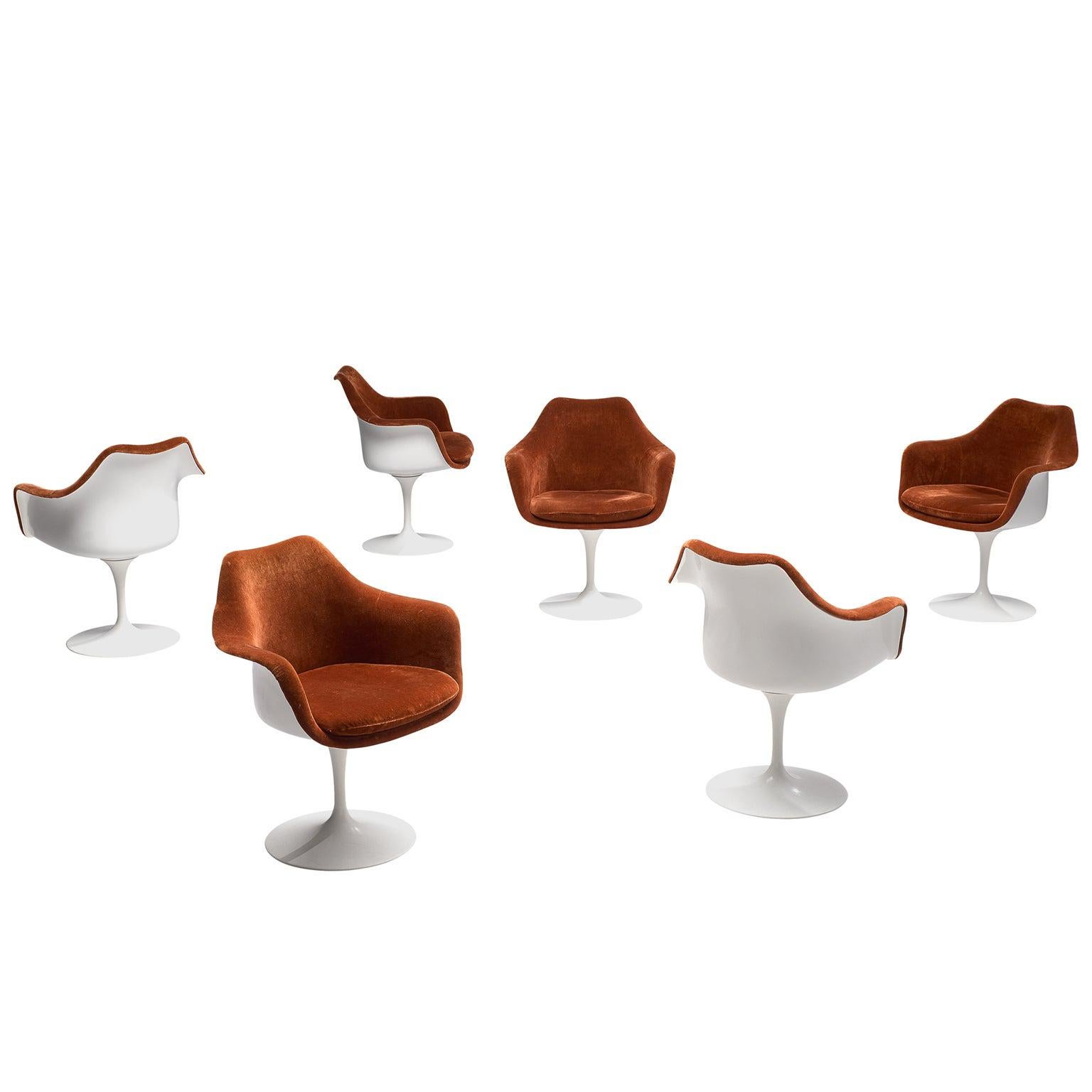 Eero Saarinen Set of Six 'Tulip' Dining Chairs in Terracotta Velvet