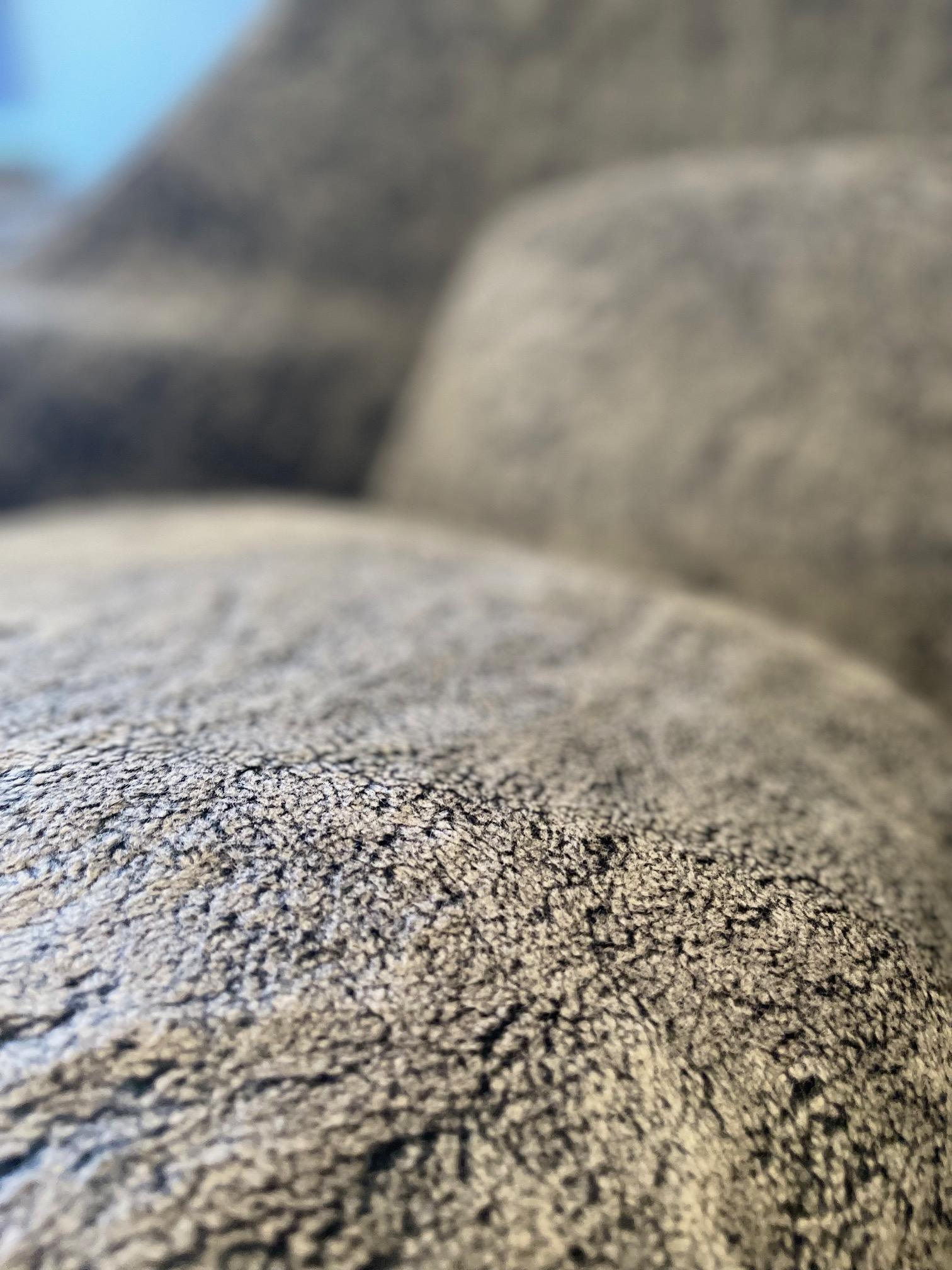 Eero Saarinen Womb Chair in Charcoal Grey Boucle Wooly Fabric For Sale 2