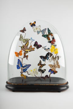 Effervescence: 19th-Century Glass Dome with New Shimmering Butterflies