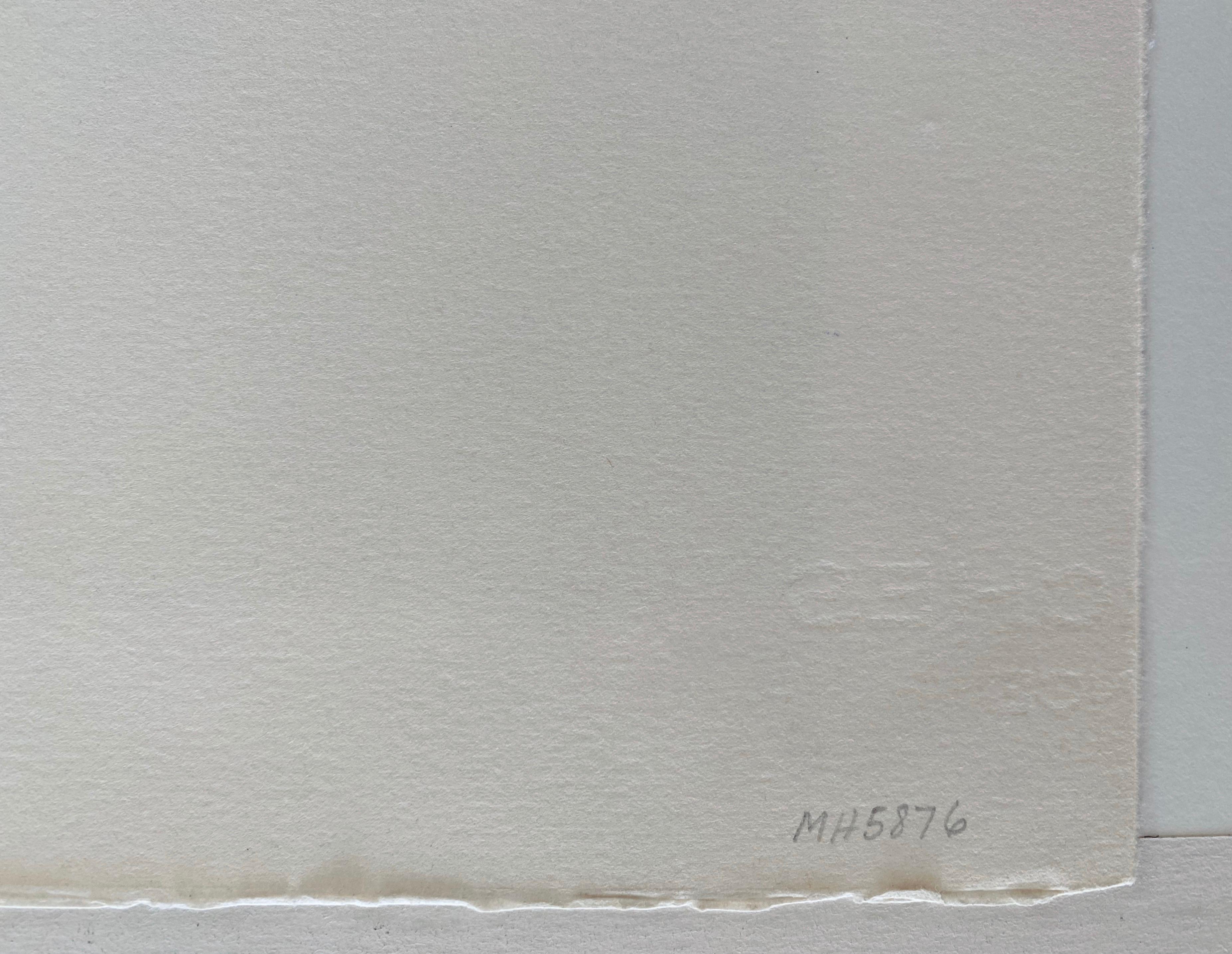 Cinese israeliano Modernista Natura morta Litografia Fiori astratti in vaso in vendita 2