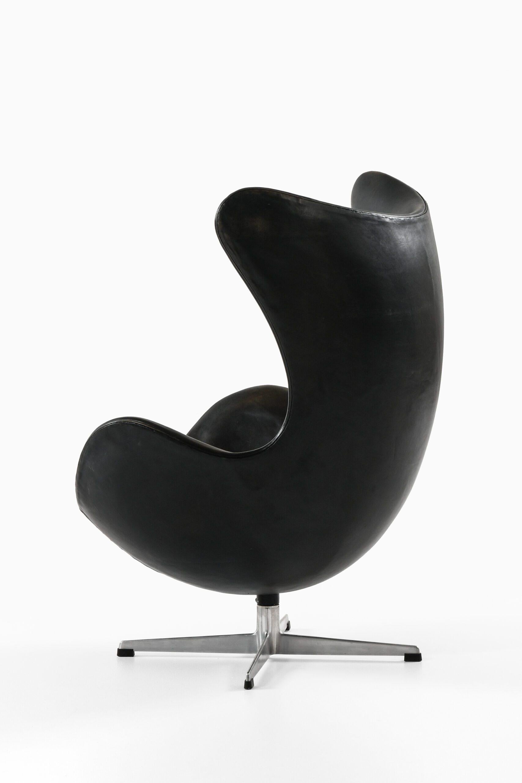 Egg Chair