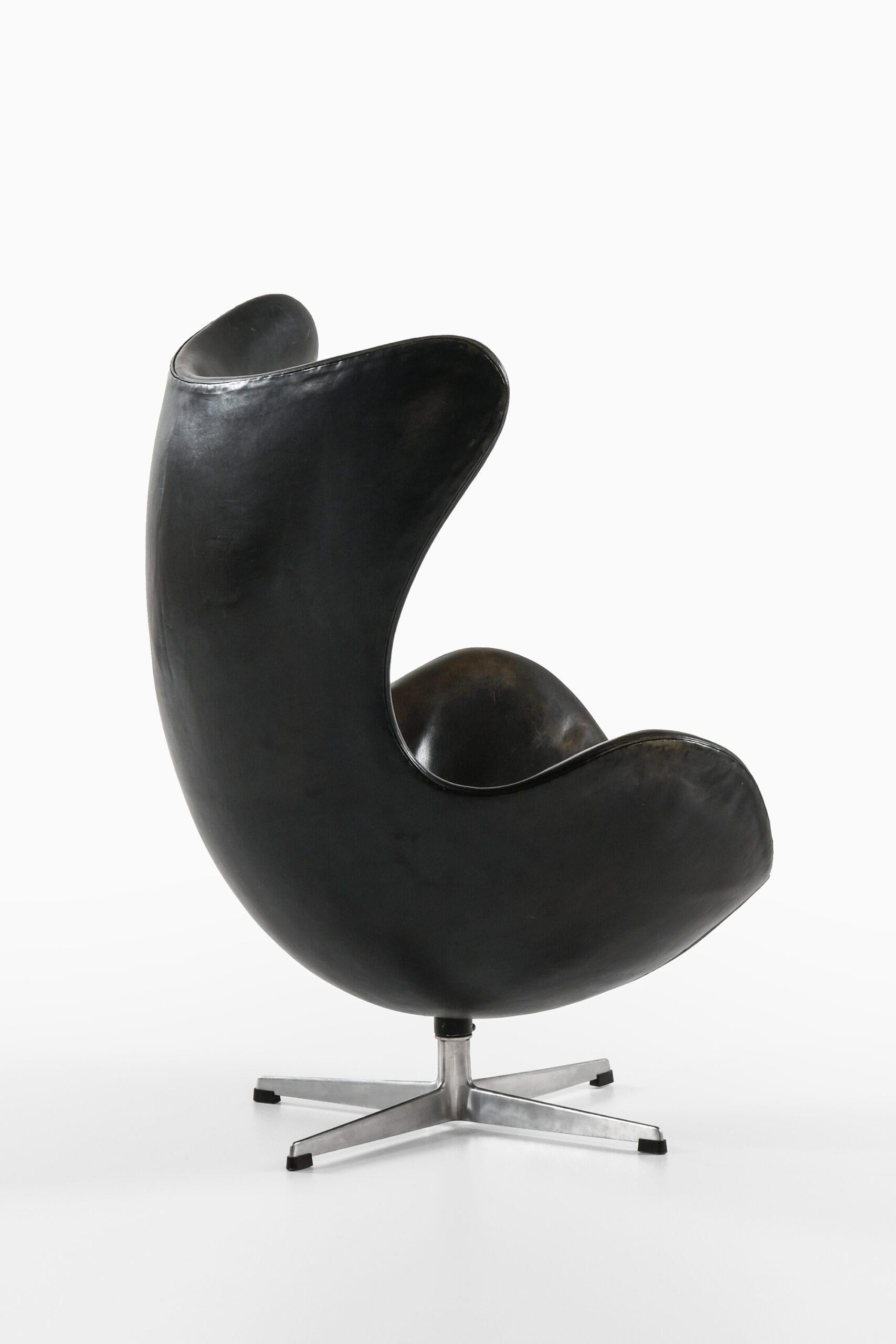 Egg Chair